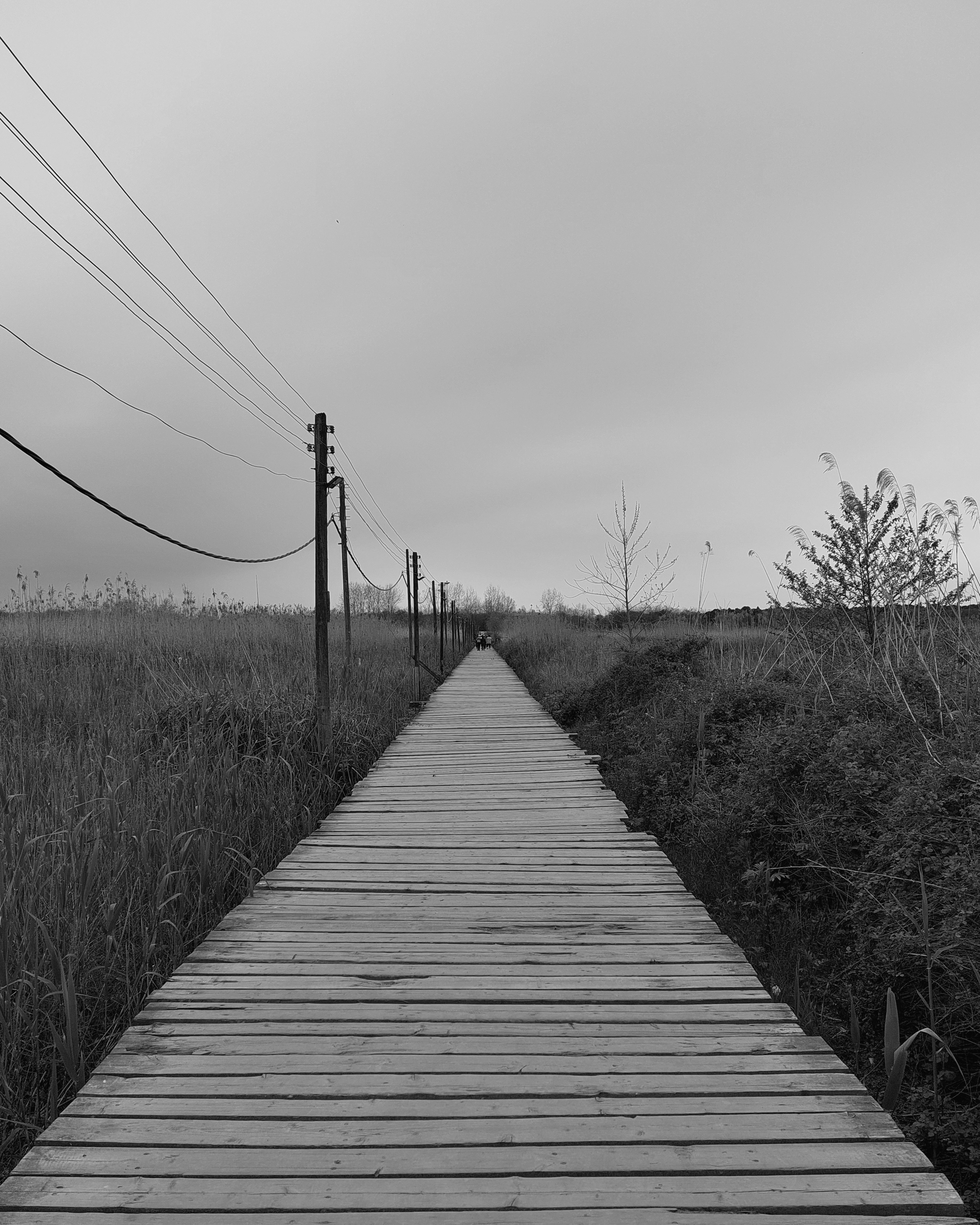 Photo by faridbekran