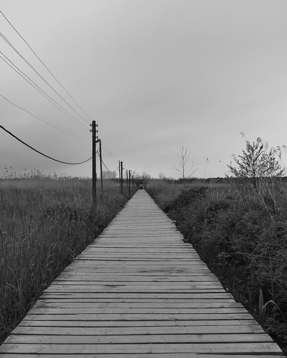 uma foto em preto e branco de uma passarela de madeira