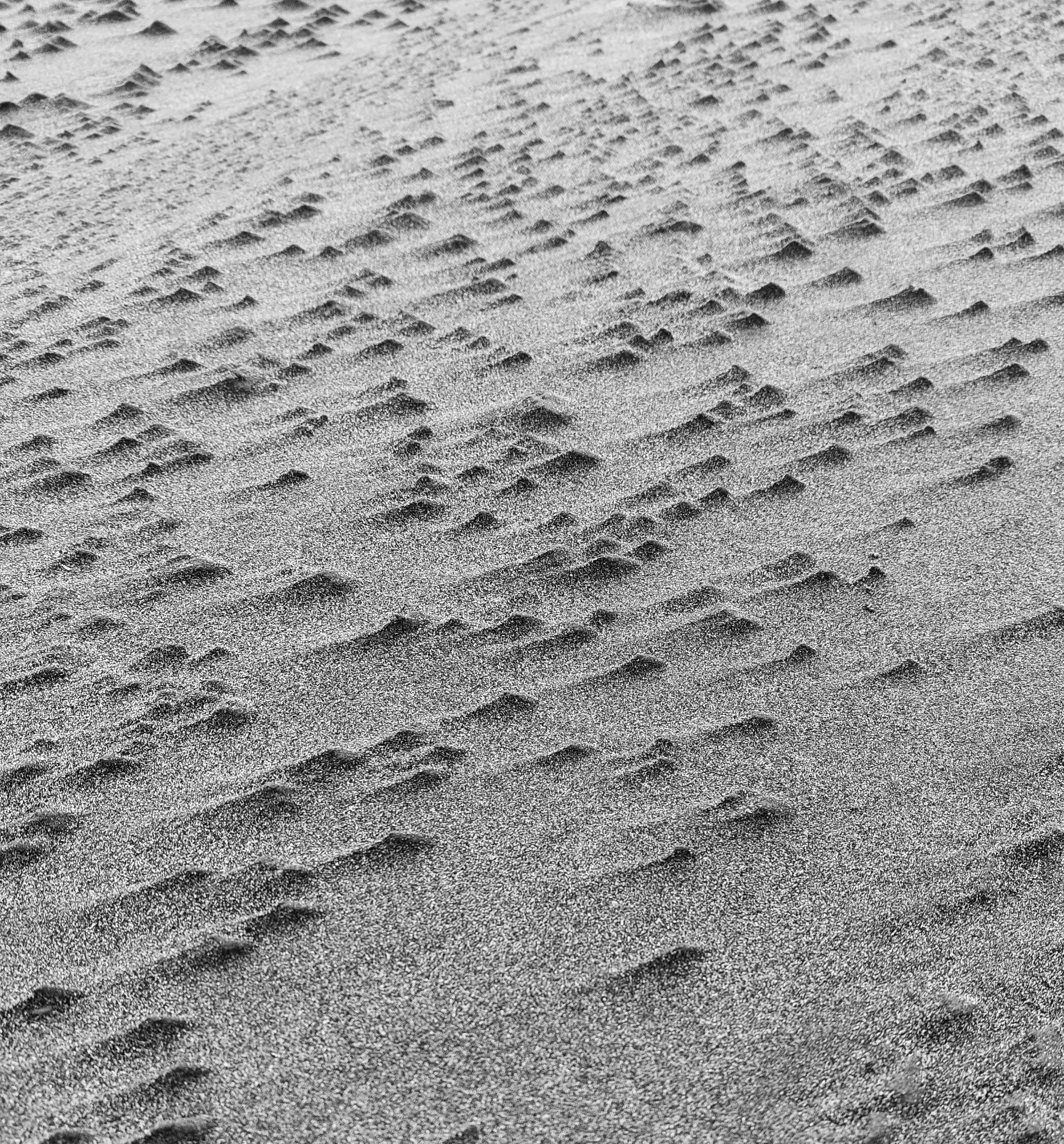 Photo by faridbekran