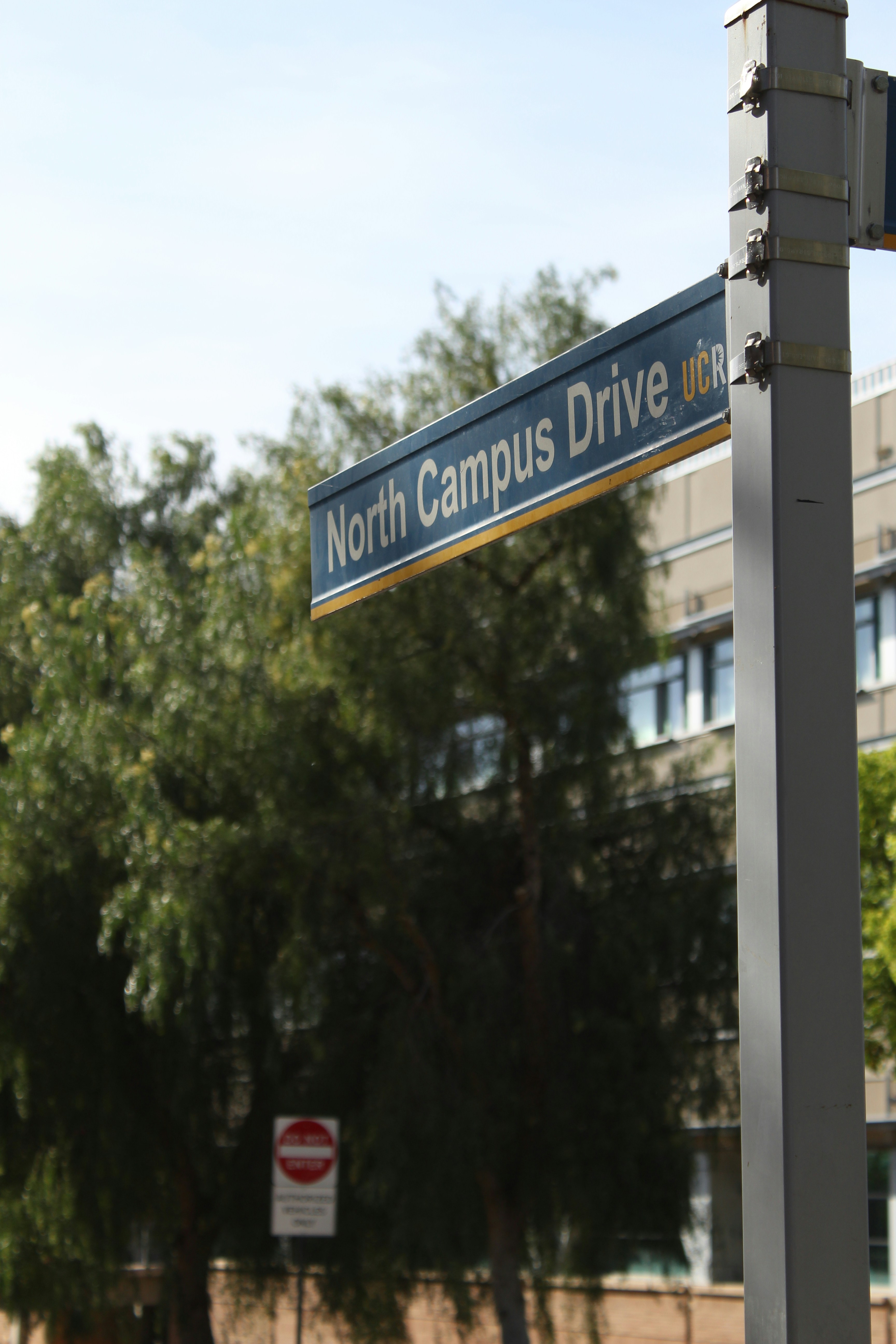 UCR Ranks 33rd Nationally Among Public Universities for Best Value