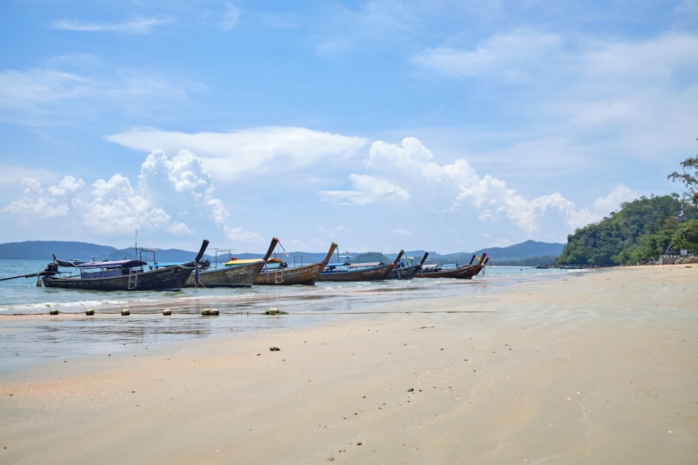 um grupo de barcos sentados no topo de uma praia de areia