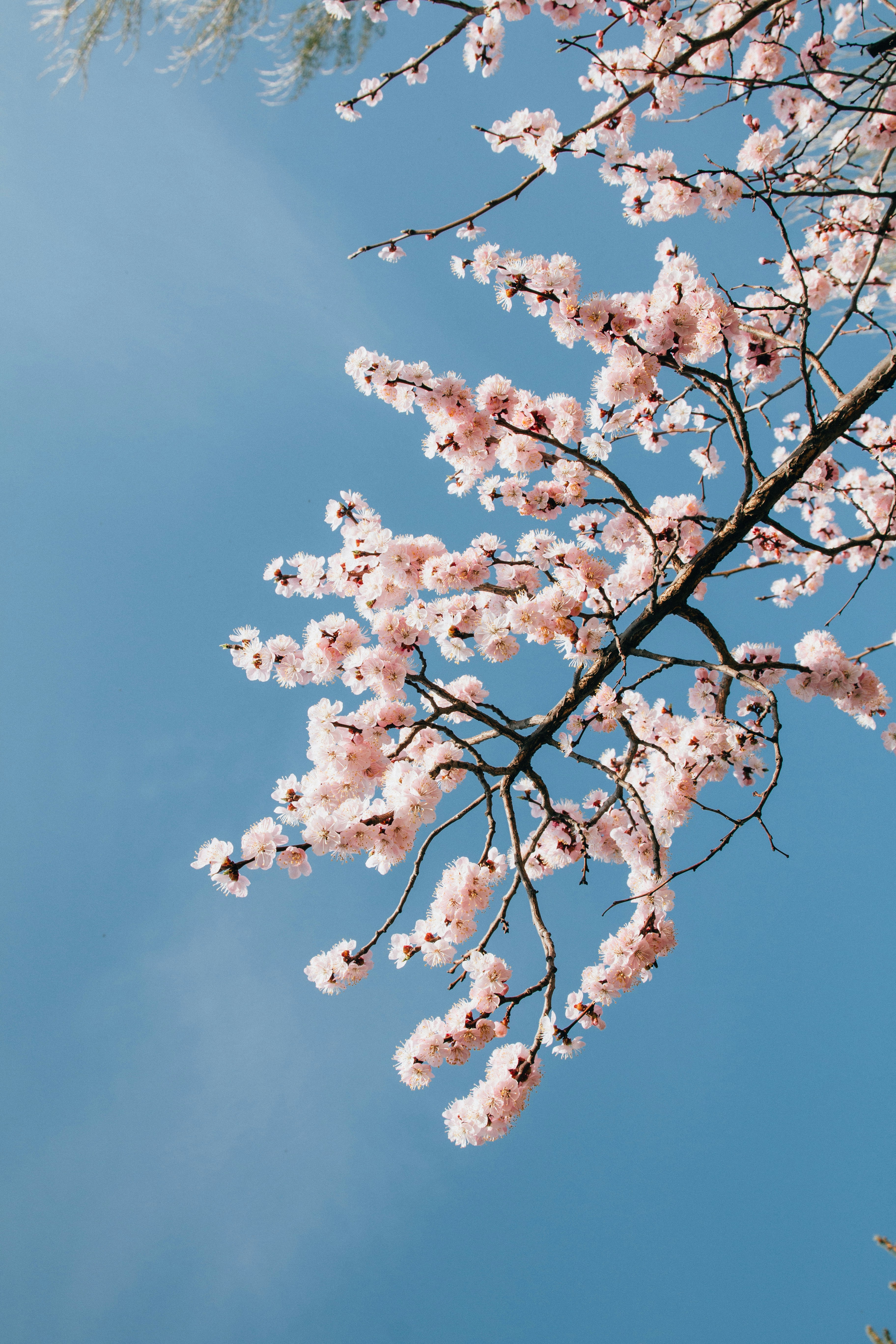 Photo by kevinyoung99