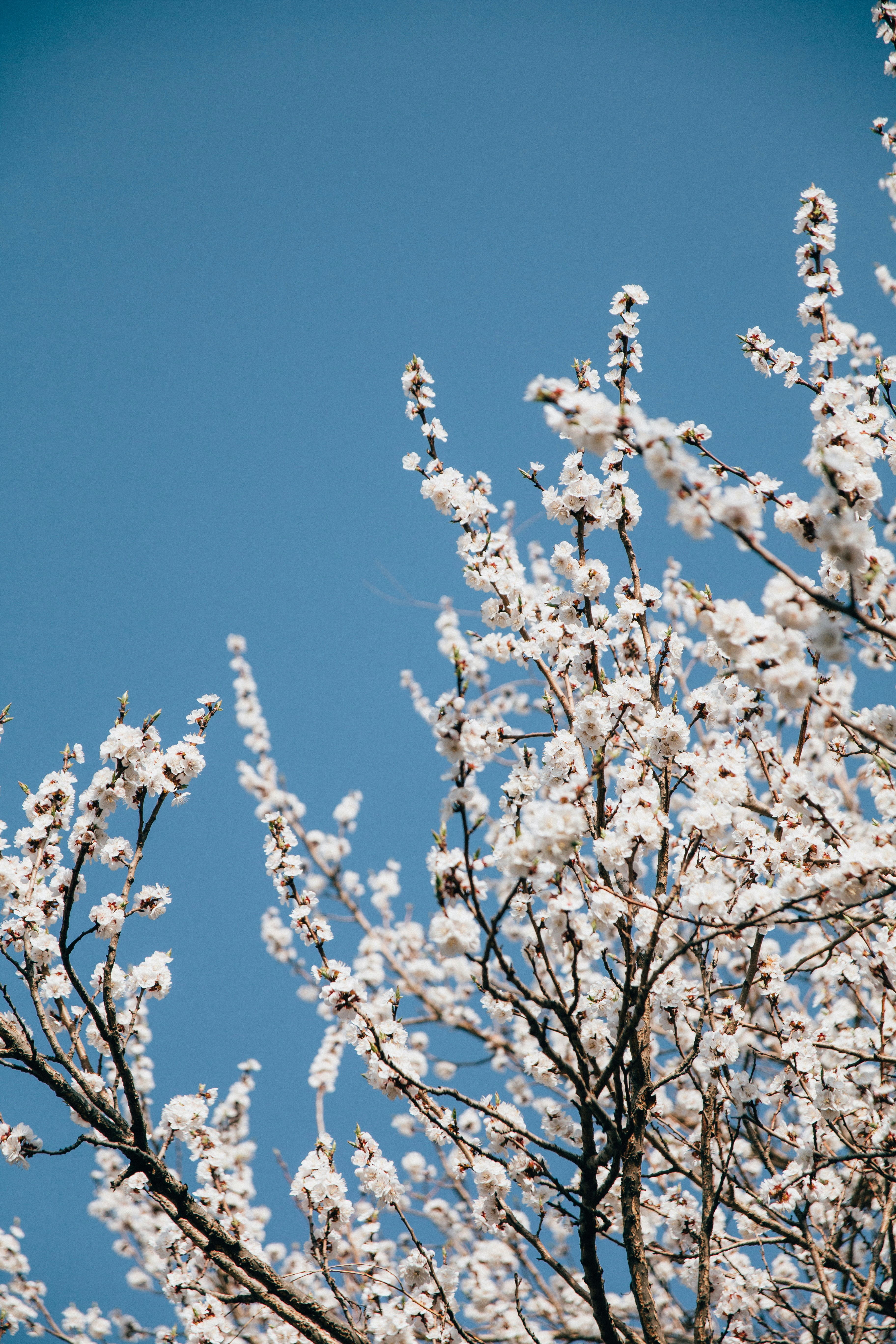 Photo by kevinyoung99