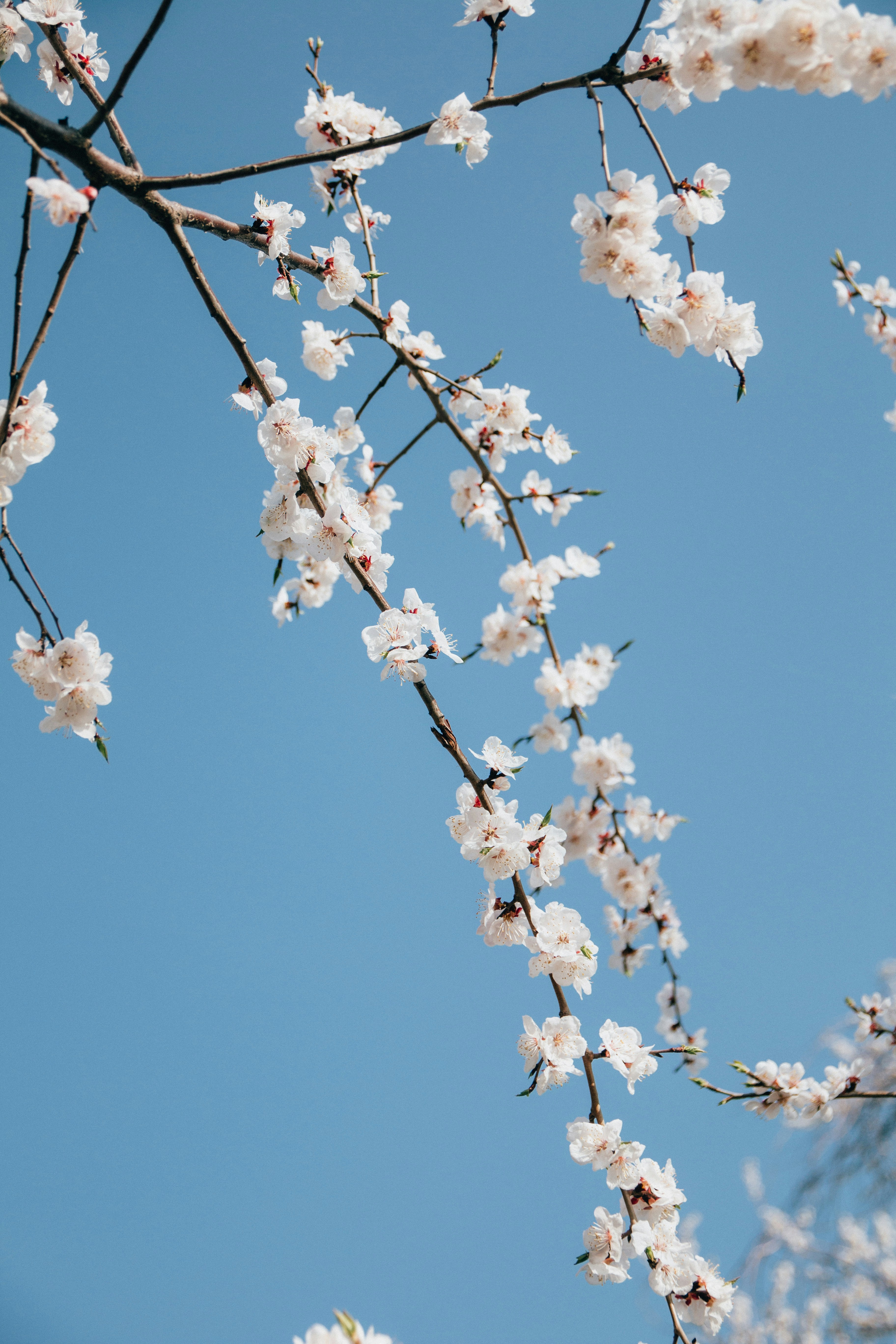 Photo by kevinyoung99