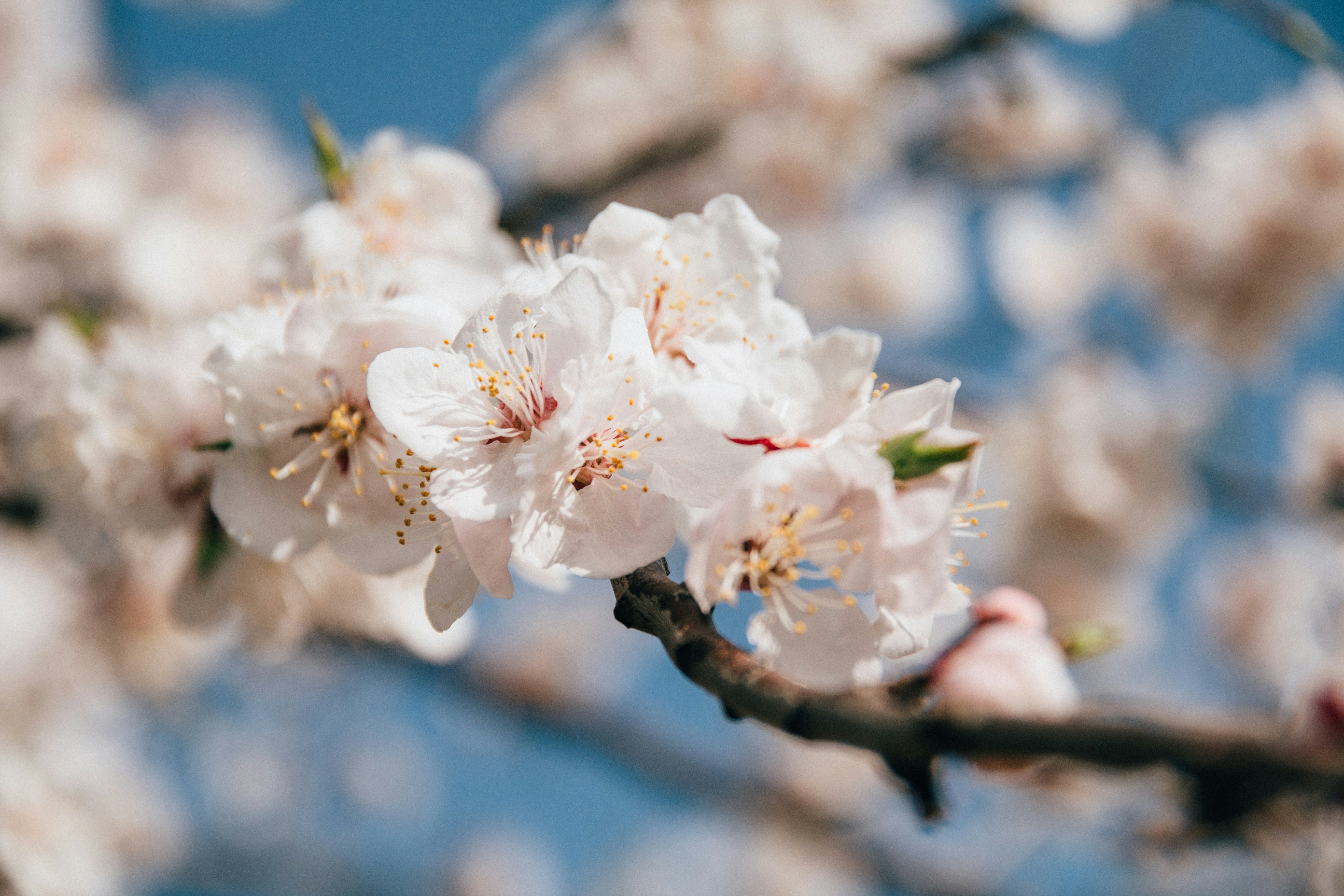 Photo by kevinyoung99