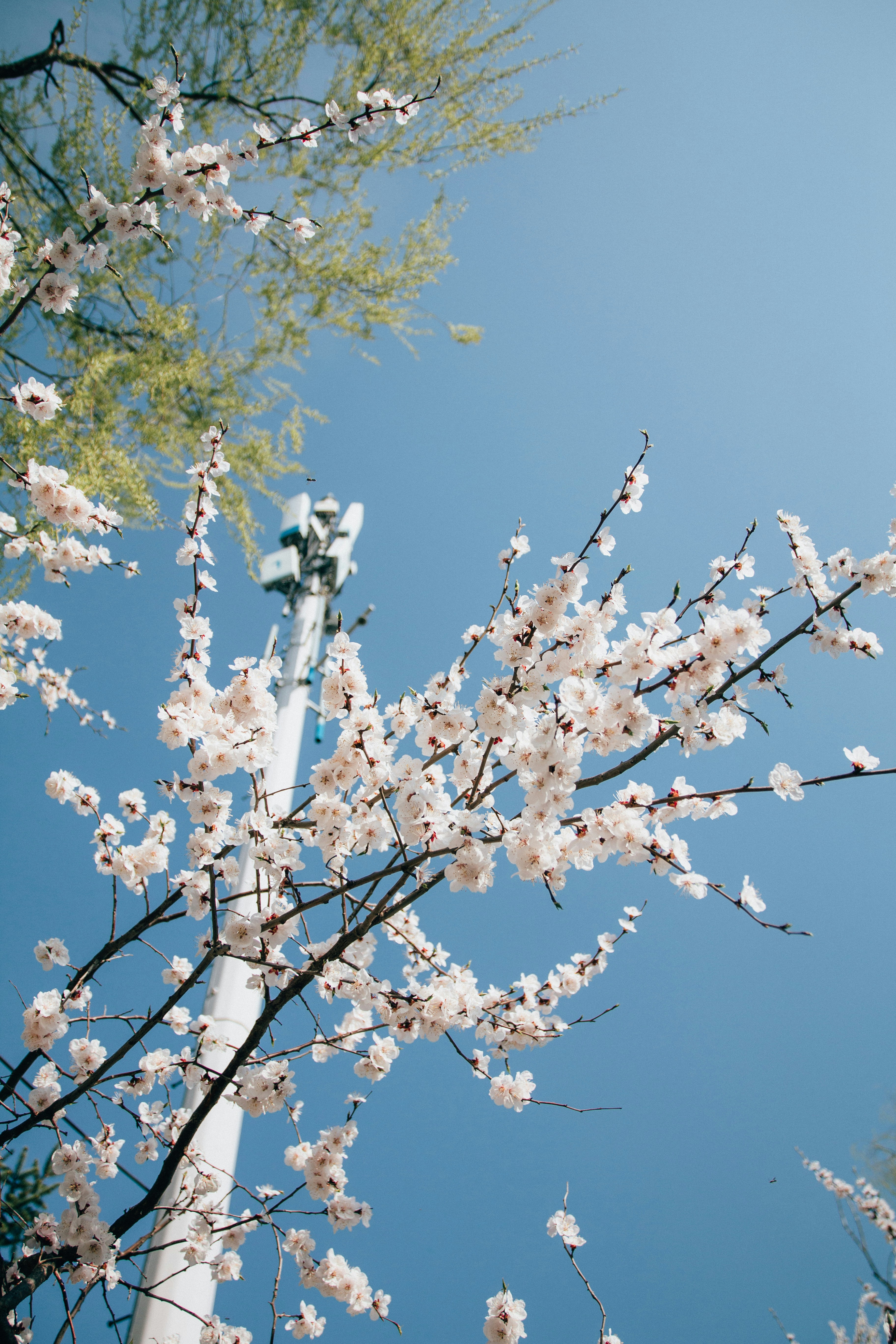 Photo by kevinyoung99