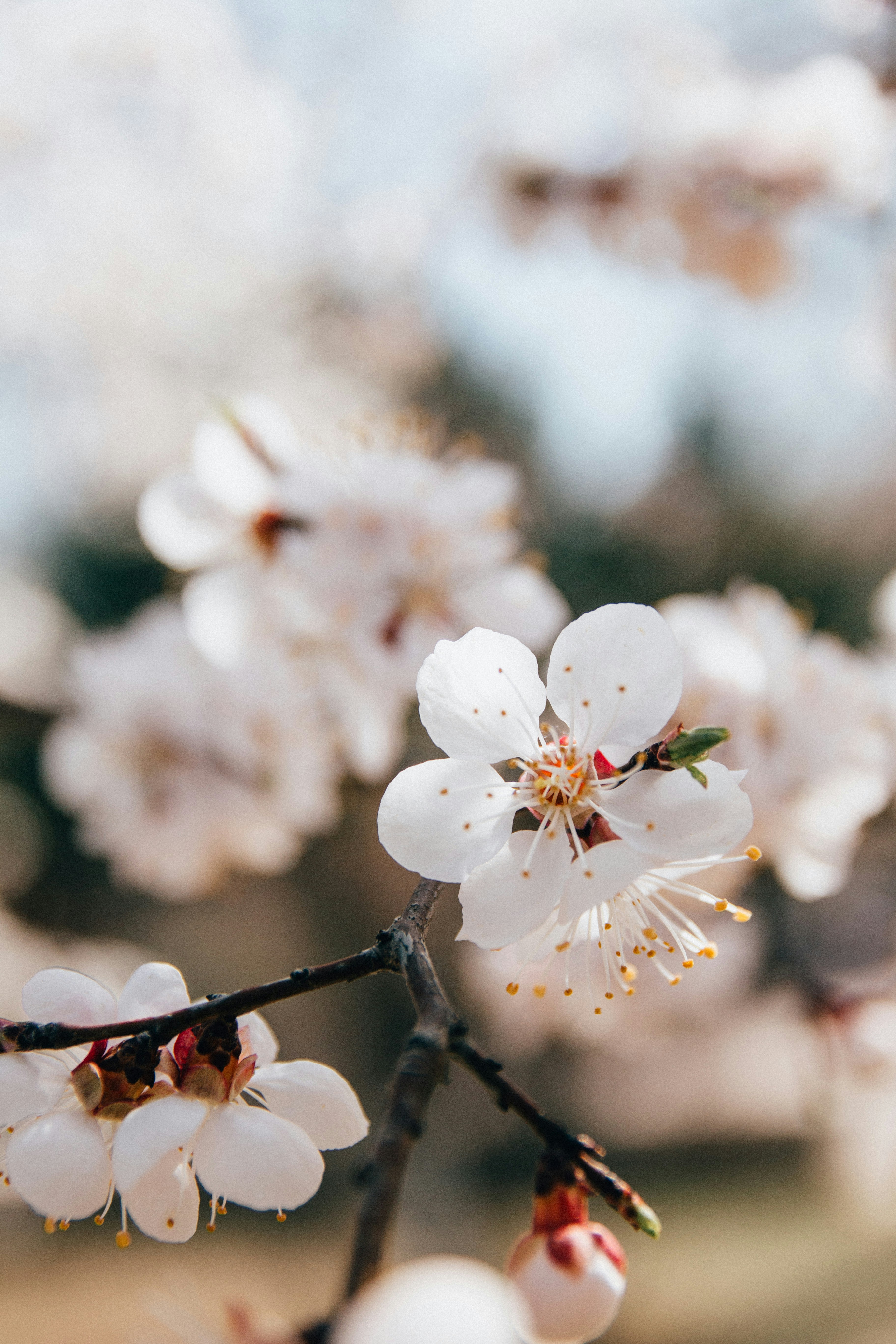 Photo by kevinyoung99