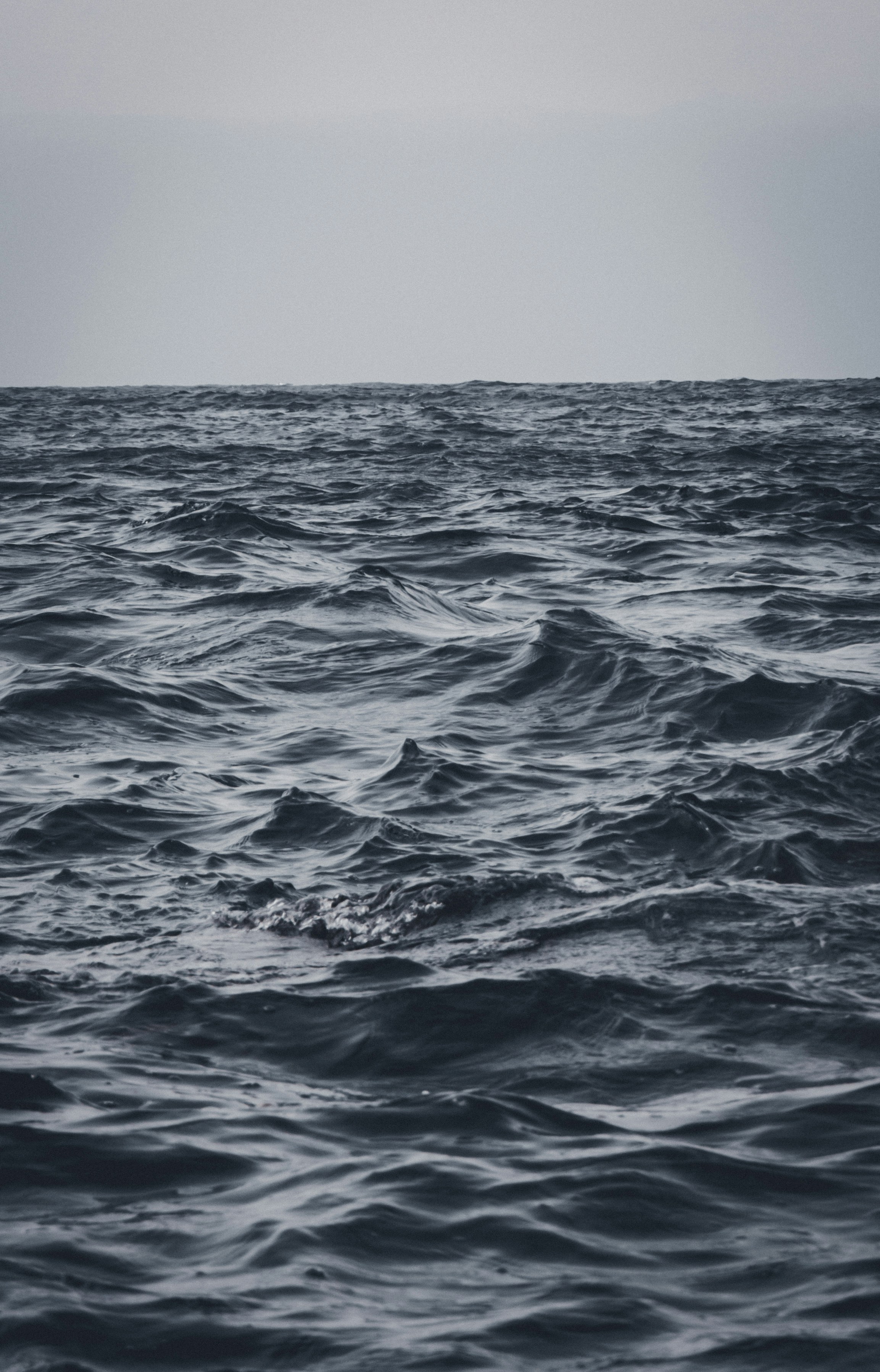 Photo by mostafaftpix