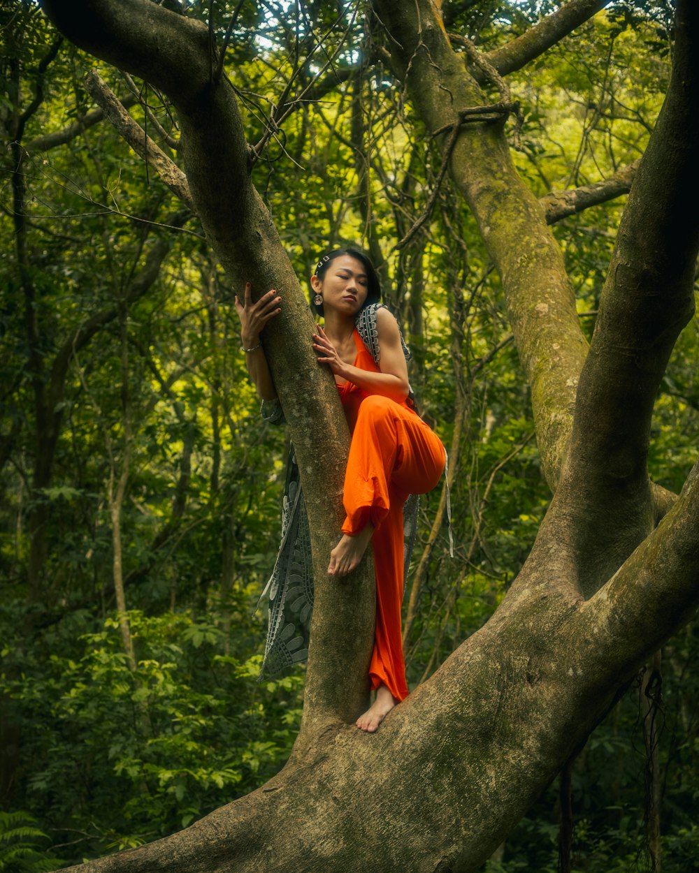 Una mujer con un vestido naranja trepando a un árbol