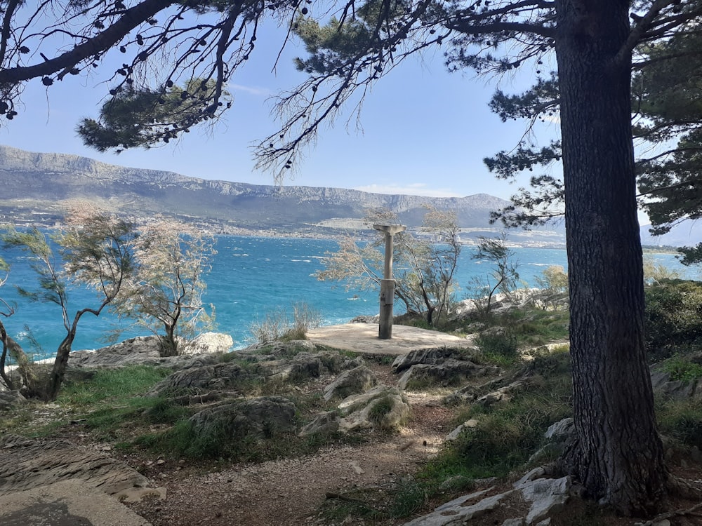 a view of a body of water through trees