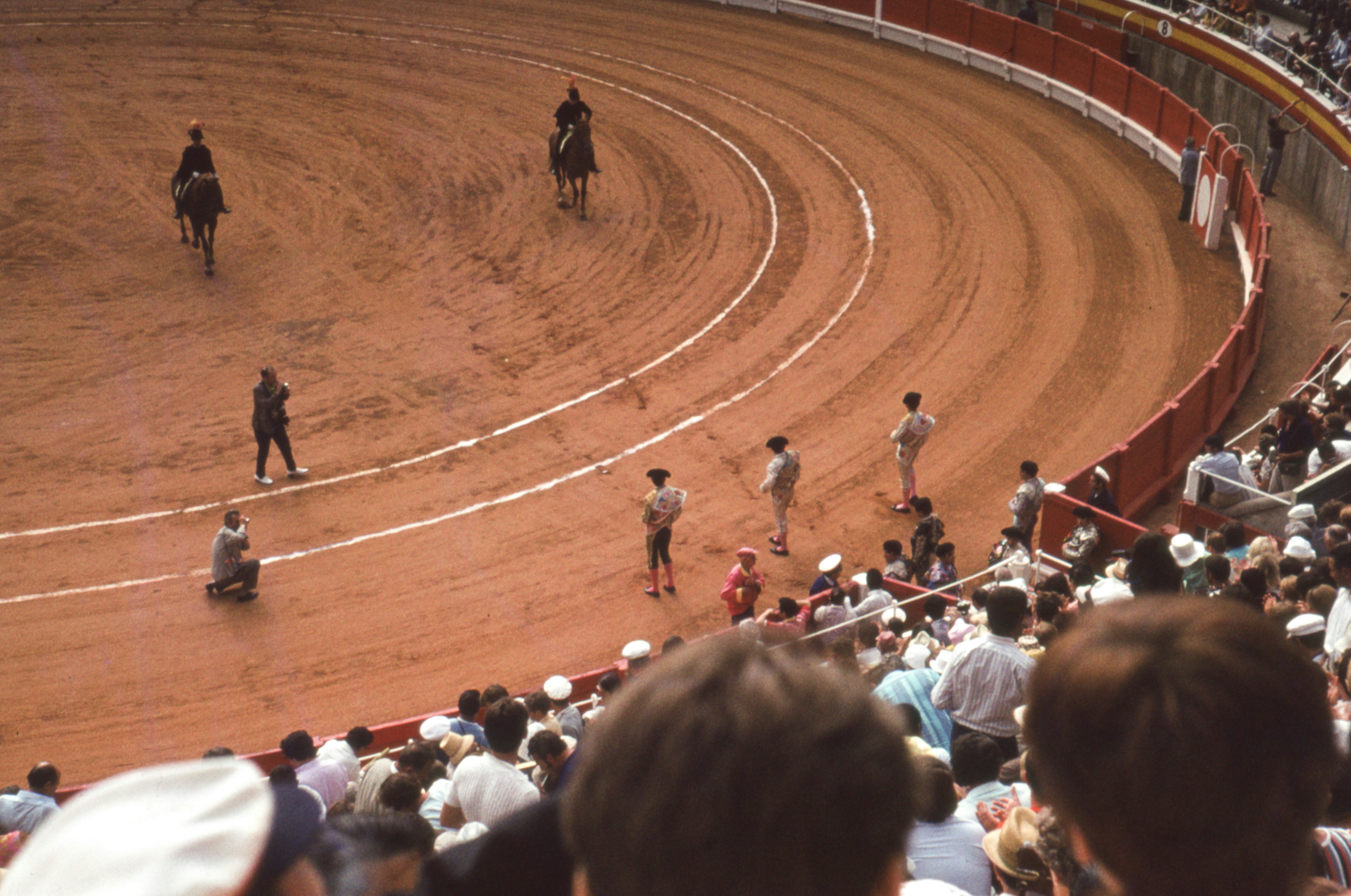 a group of men riding on the backs of horses