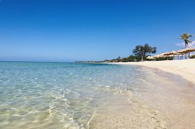 a sandy beach with palm trees and umbrellas