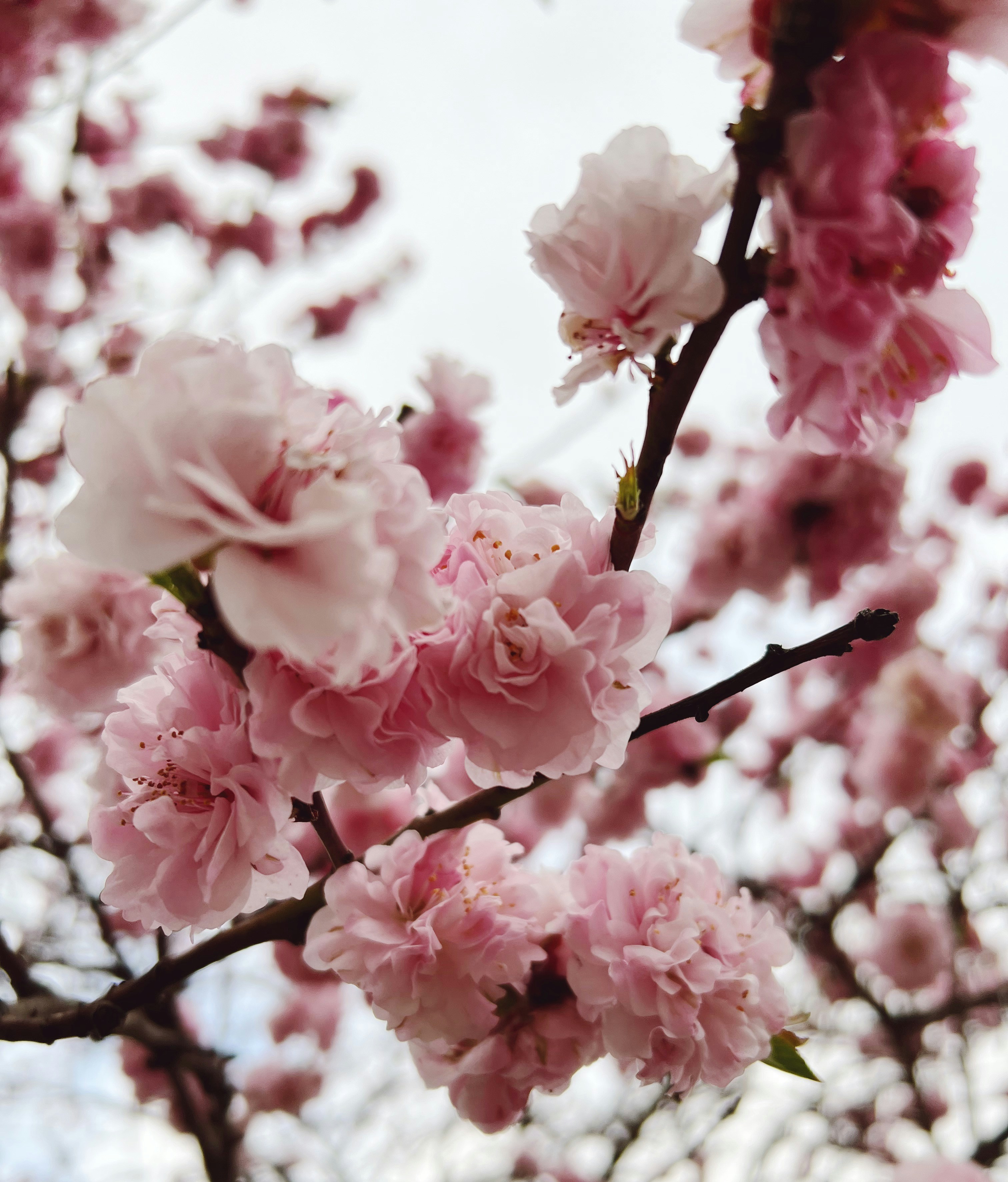 Photo by bonjour_sandrine