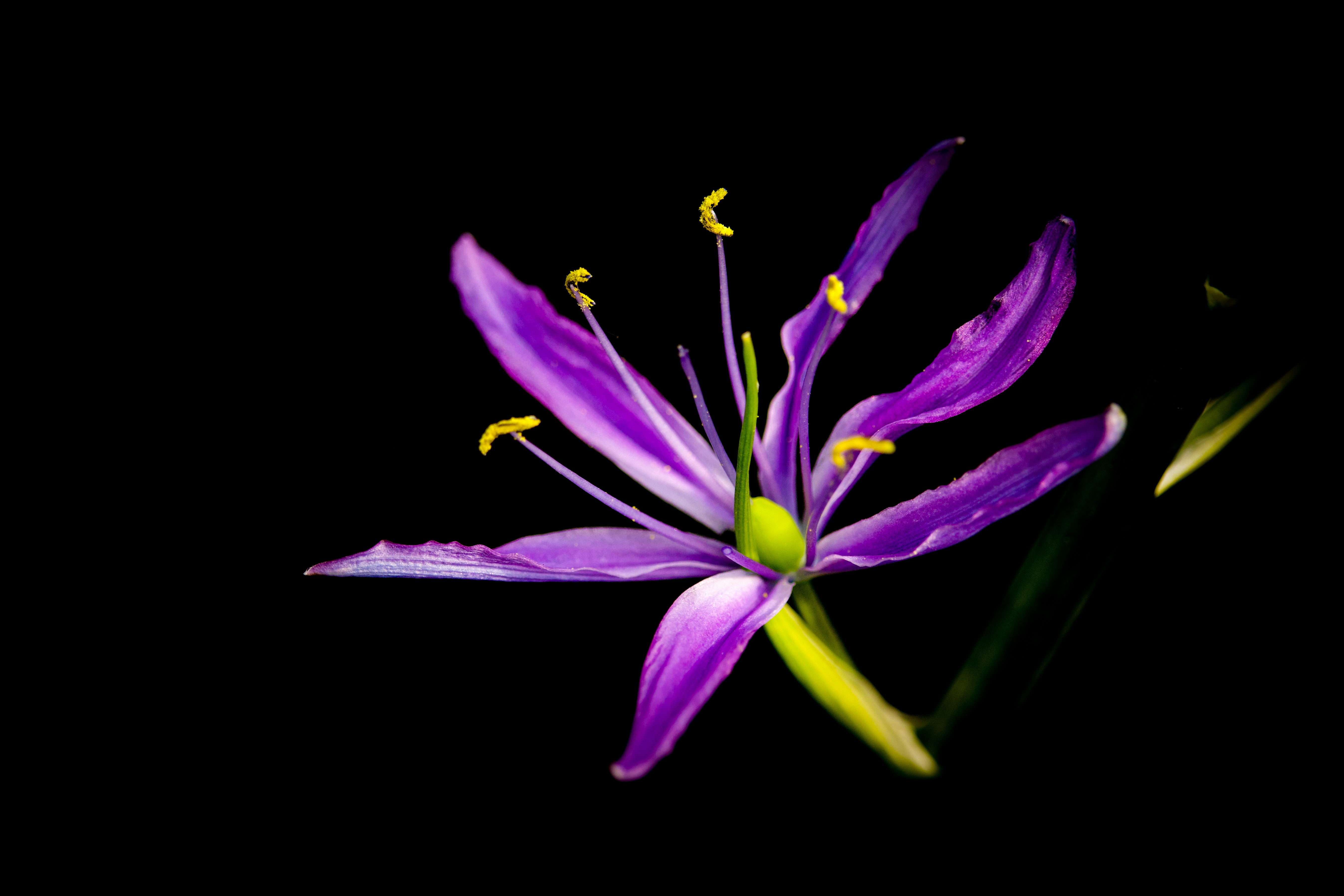 Photo by heather_wilde