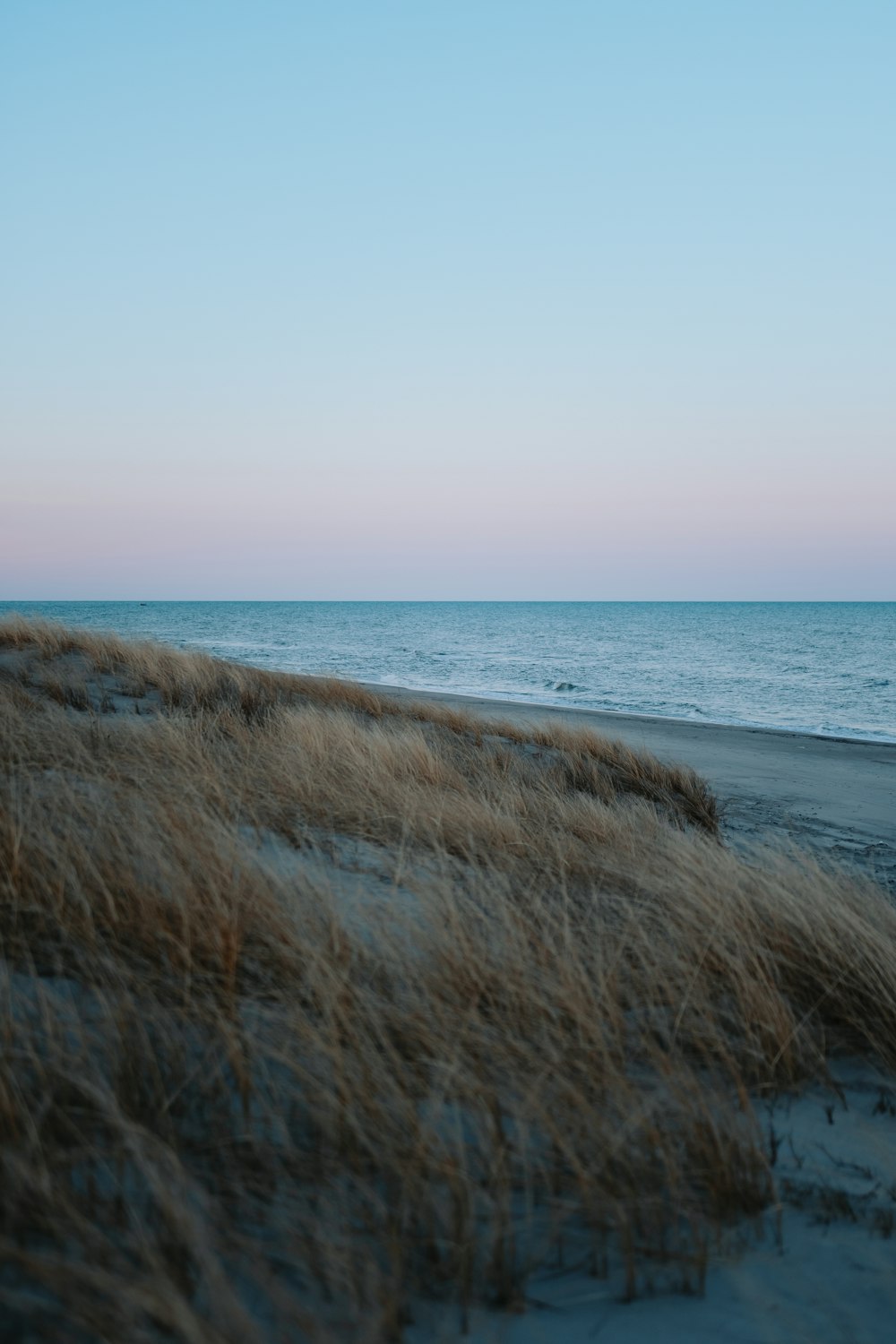 a sandy beach with grass and the ocean in the background