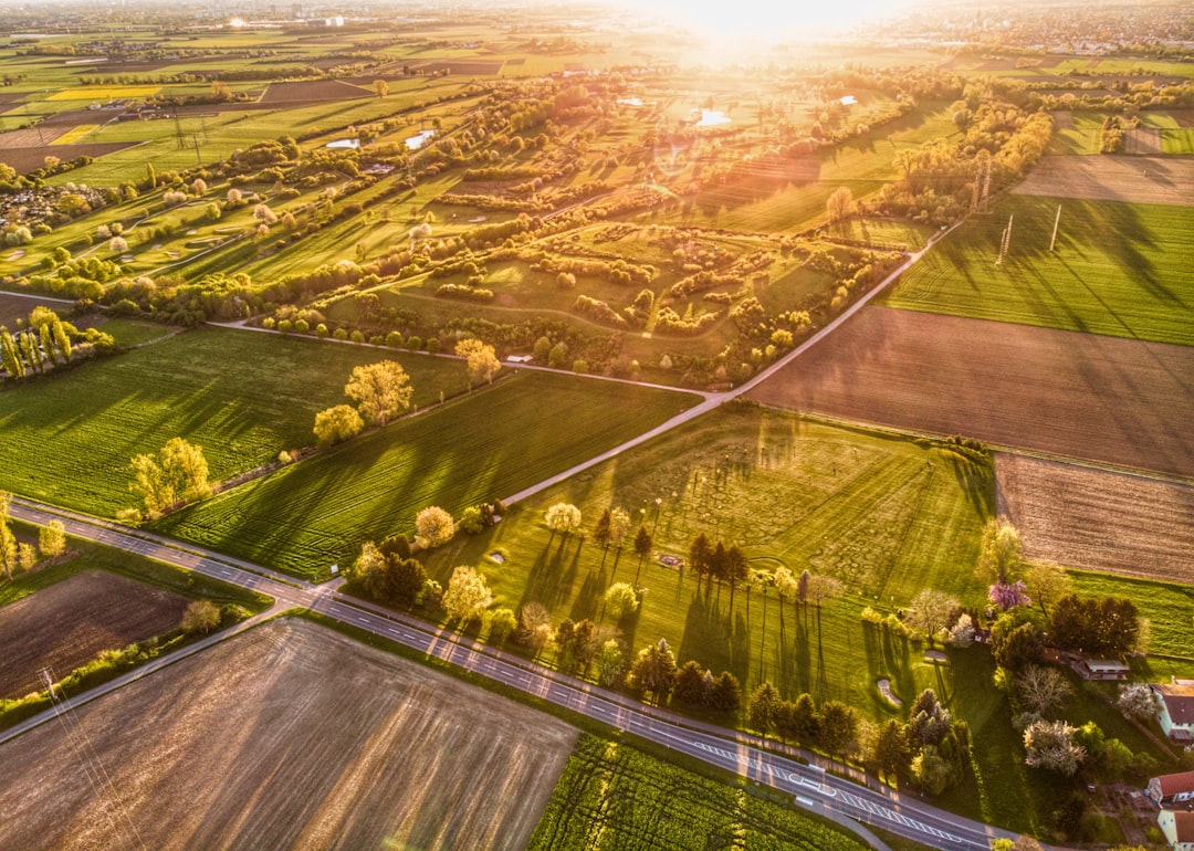 an aerial view of a rural area with lots of trees, Drone view on fields and a golf course at sunset