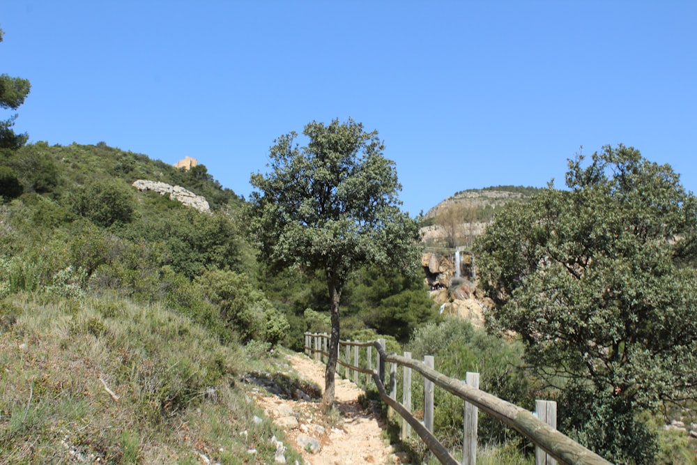 une clôture en bois sur le flanc d’une colline