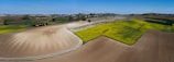 A wide shot of lush green agricultural fields under a clear blue sky near Bhiwani.