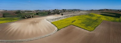 Fields of crops cultivated by local farmers in Basantpur.