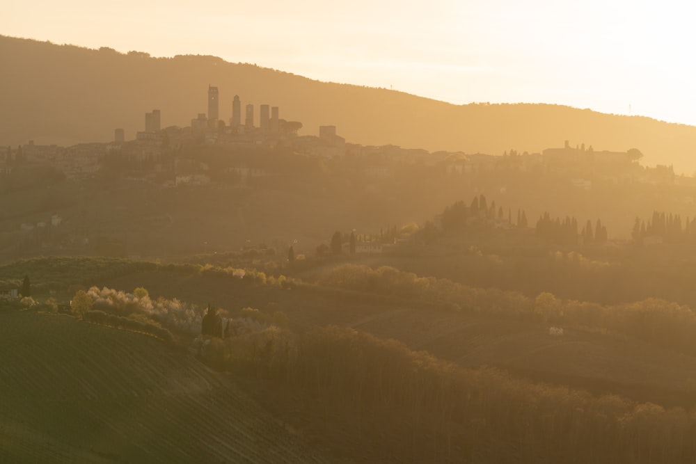 a view of a city in the distance from a hill