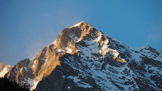 Luxury 17-Day Rwanda & New Zealand Scenic Itinerary