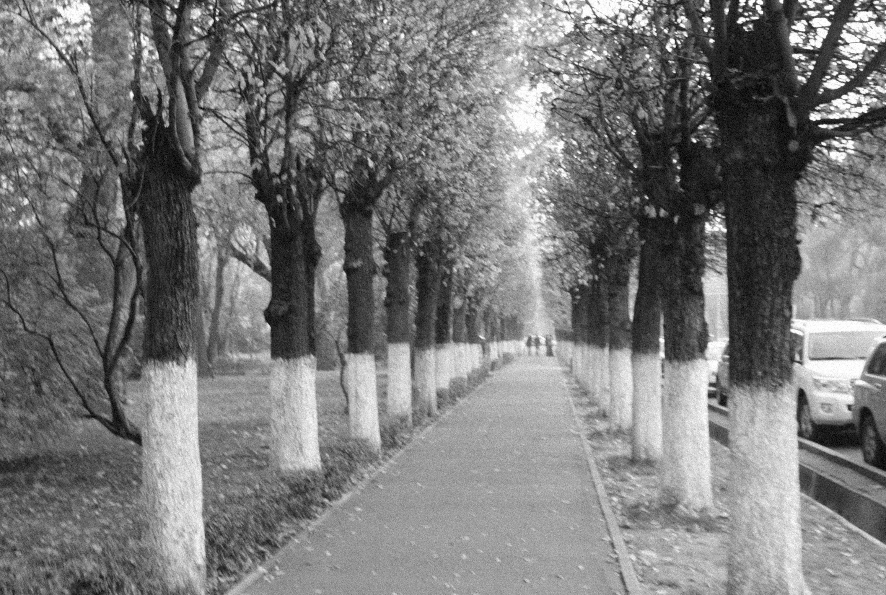 Photo by alexeydemidov