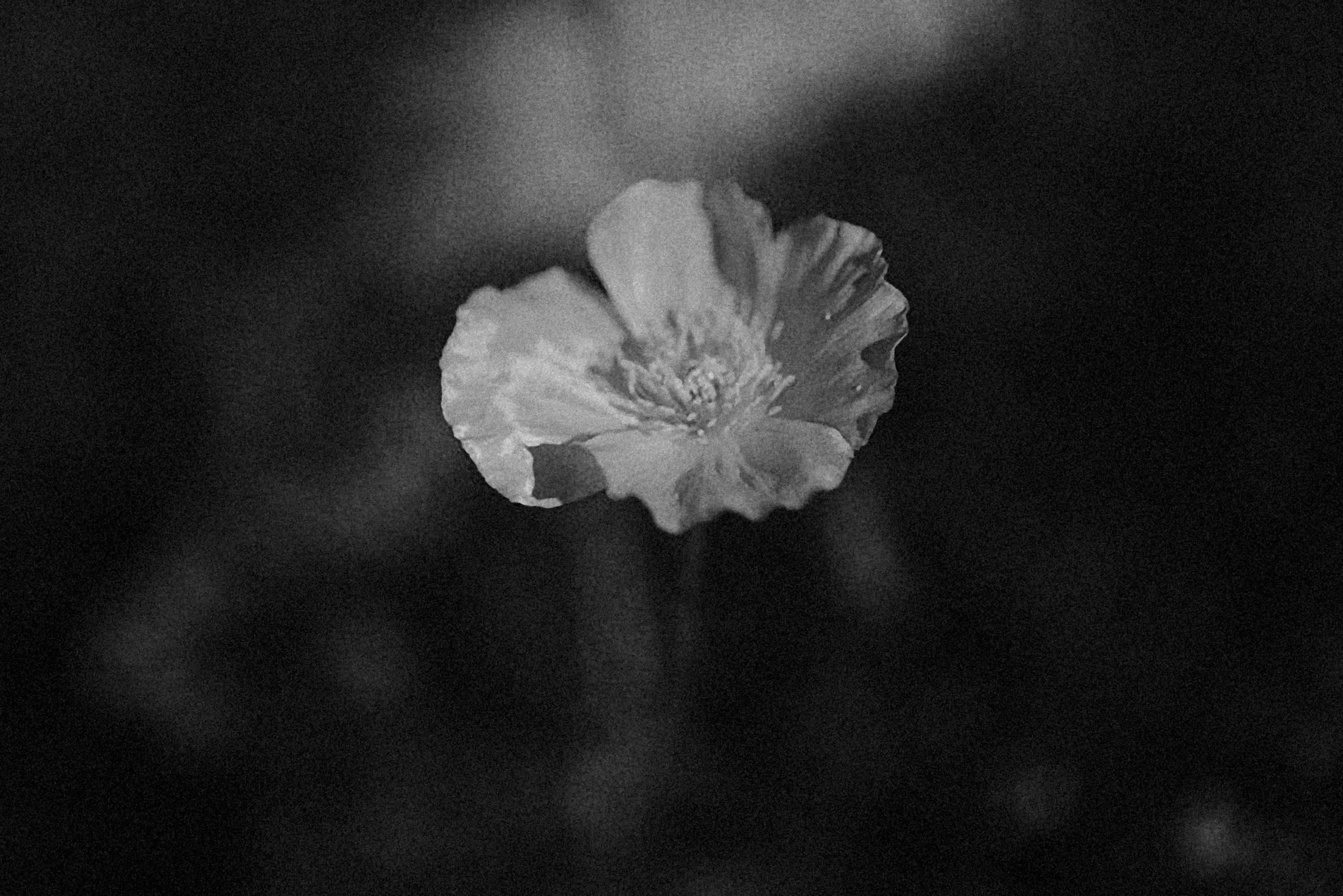 Photo by alexeydemidov