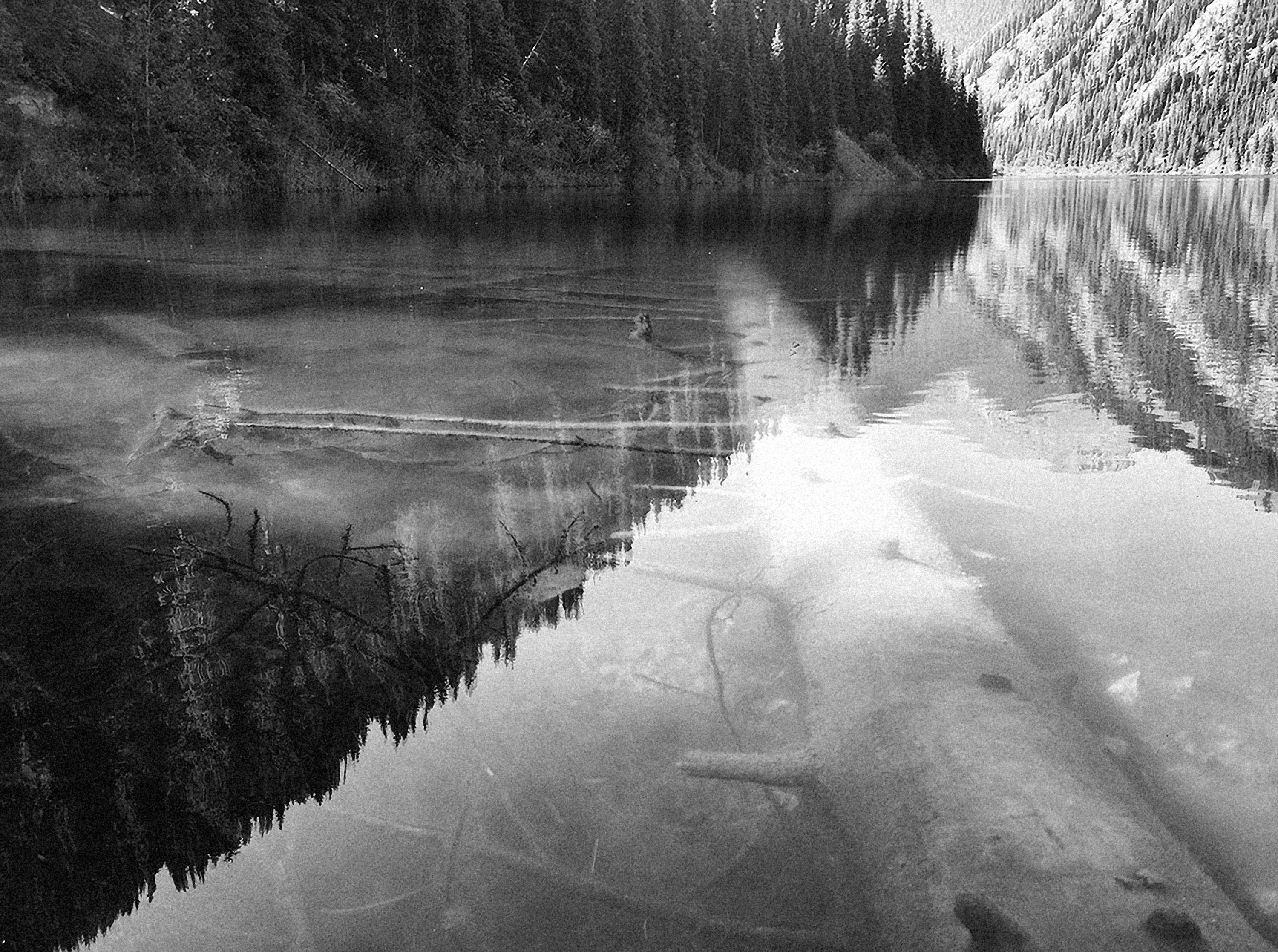 Photo by alexeydemidov