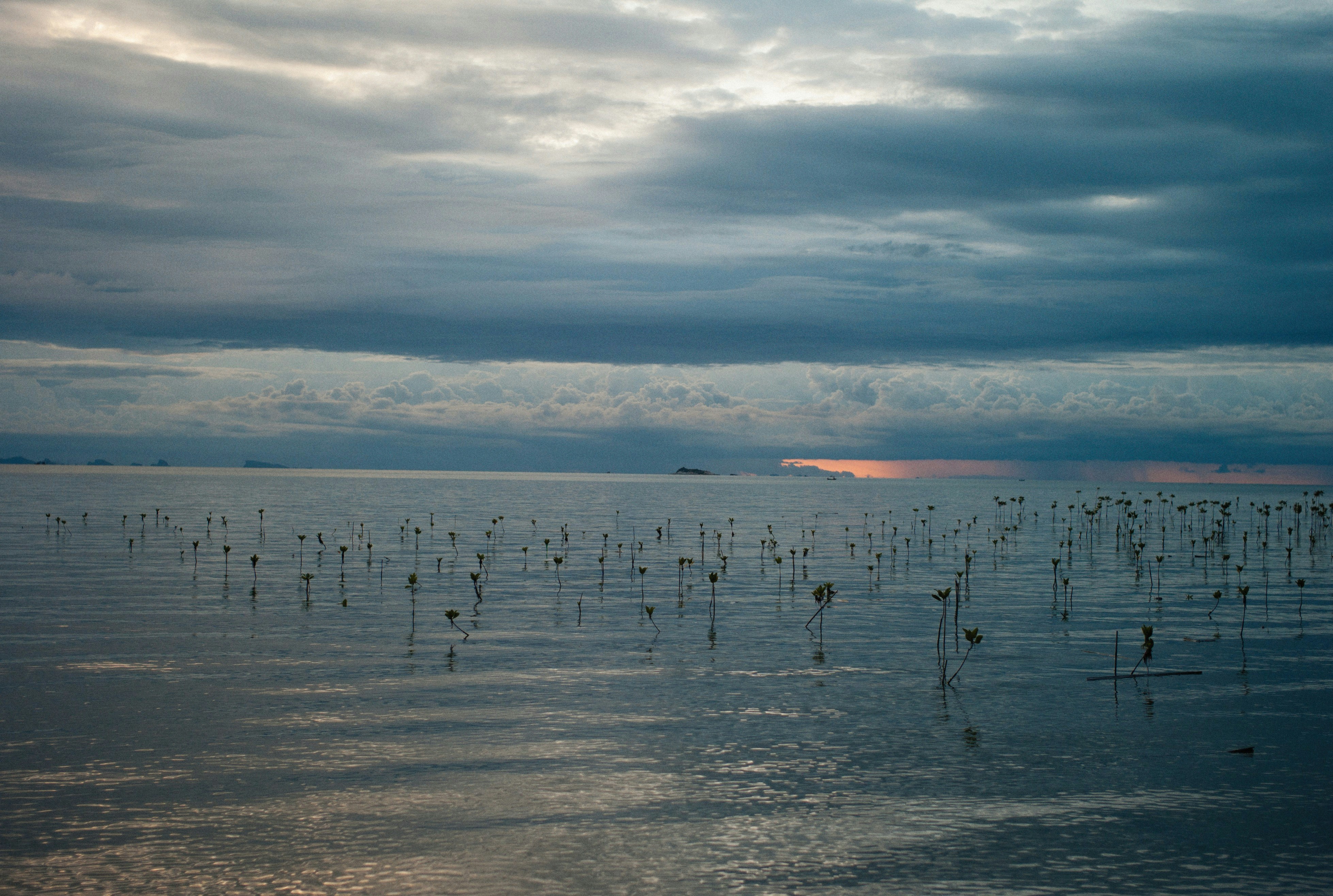 Photo by alexeydemidov