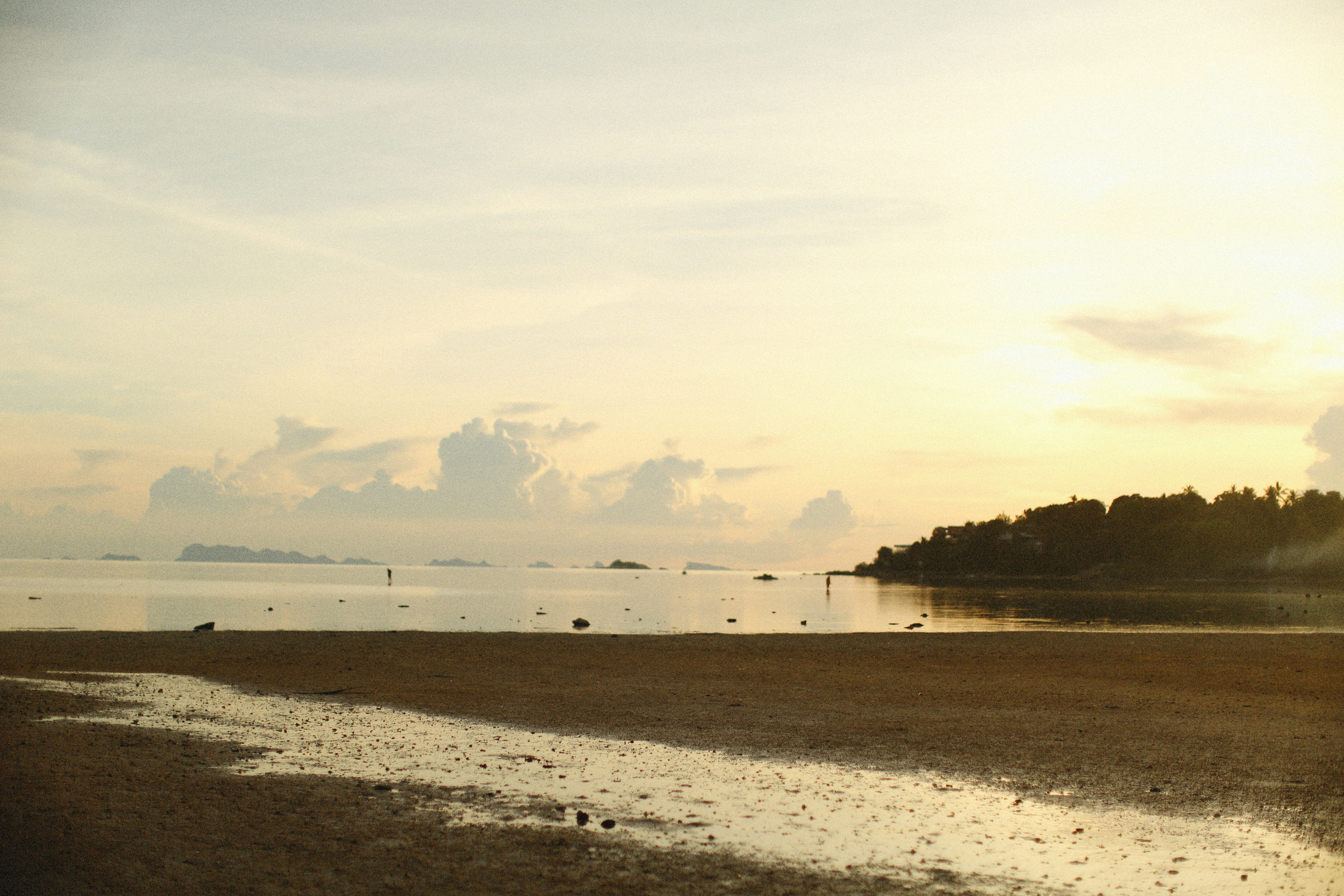 Photo by alexeydemidov