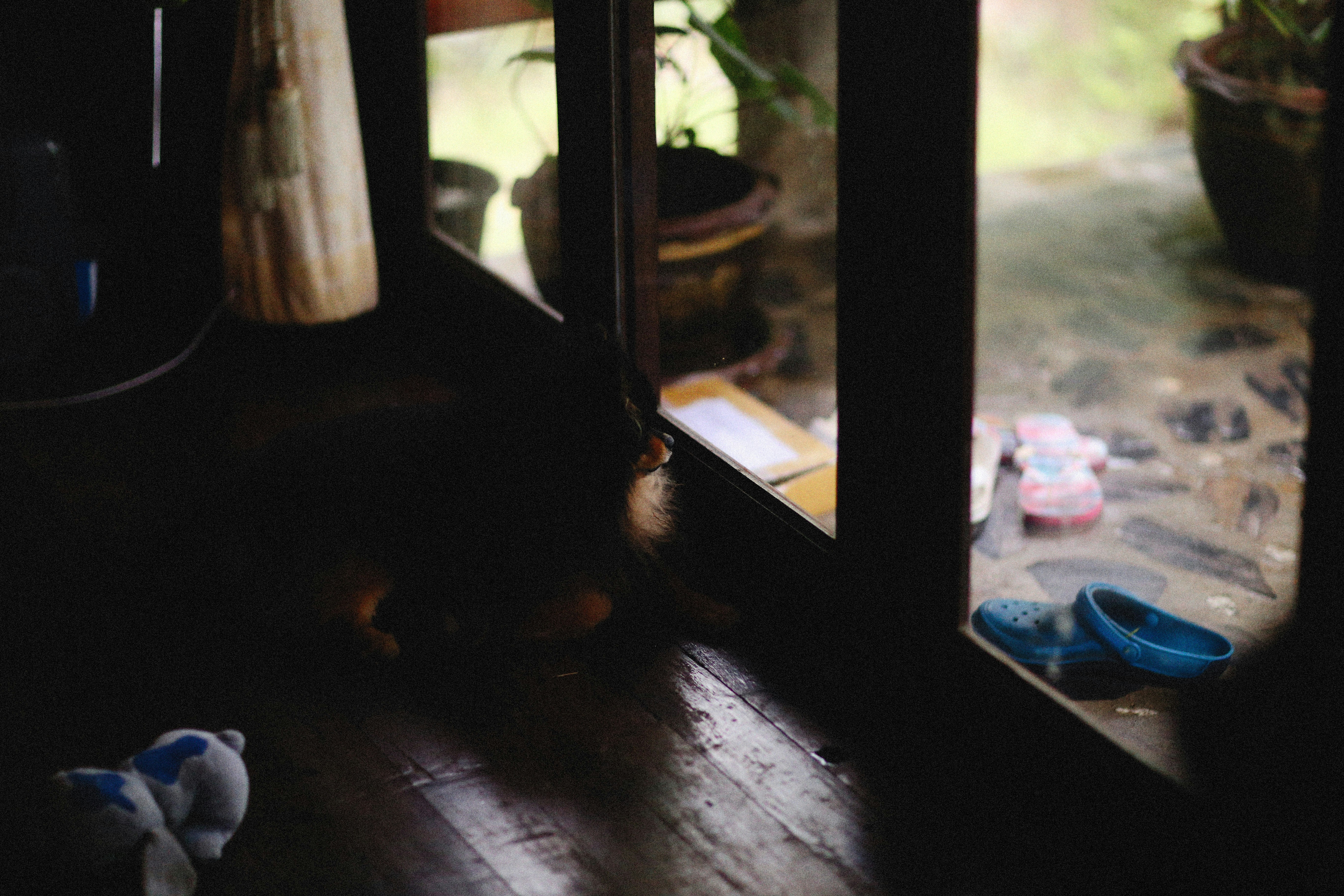 Photo by alexeydemidov