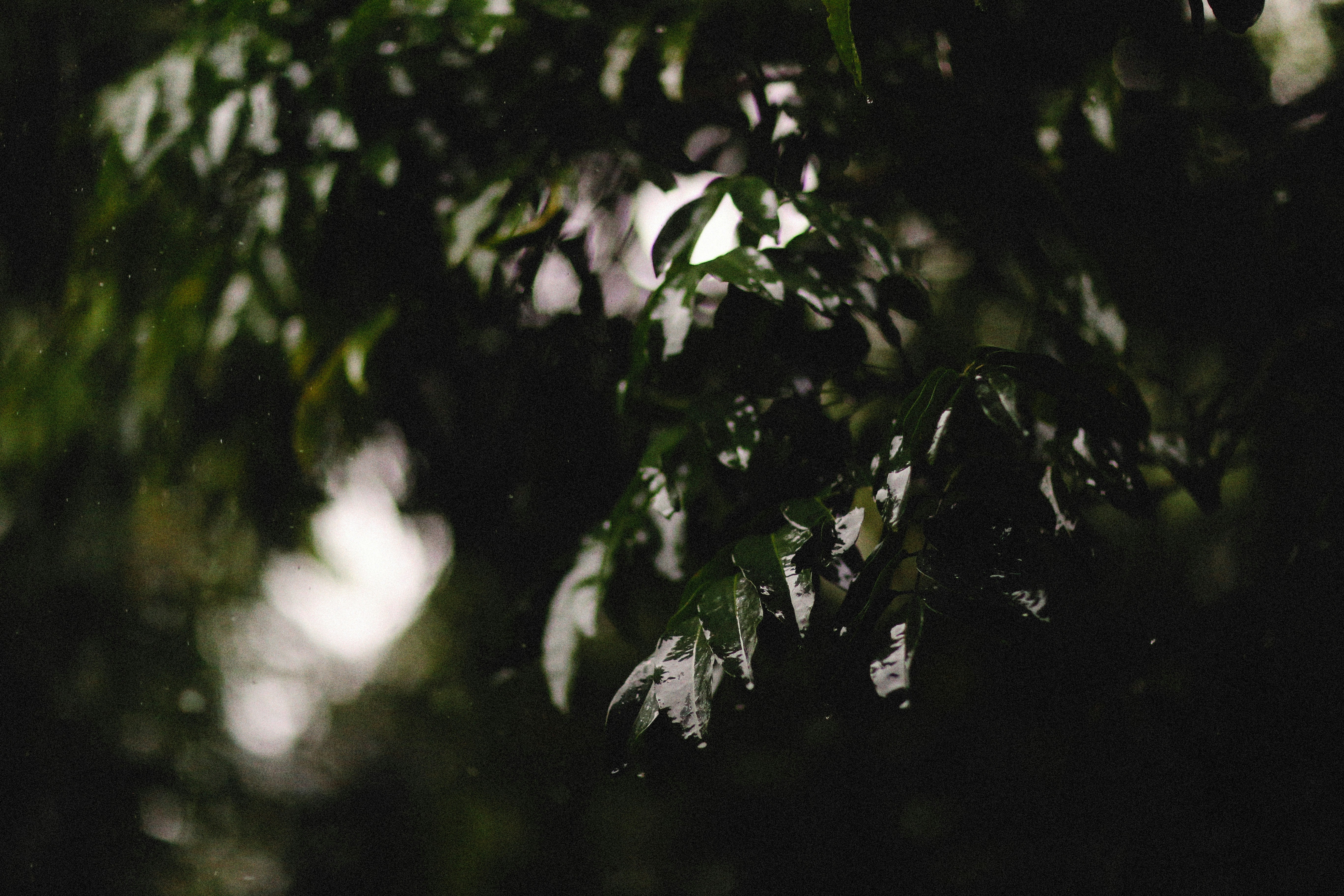 Photo by alexeydemidov