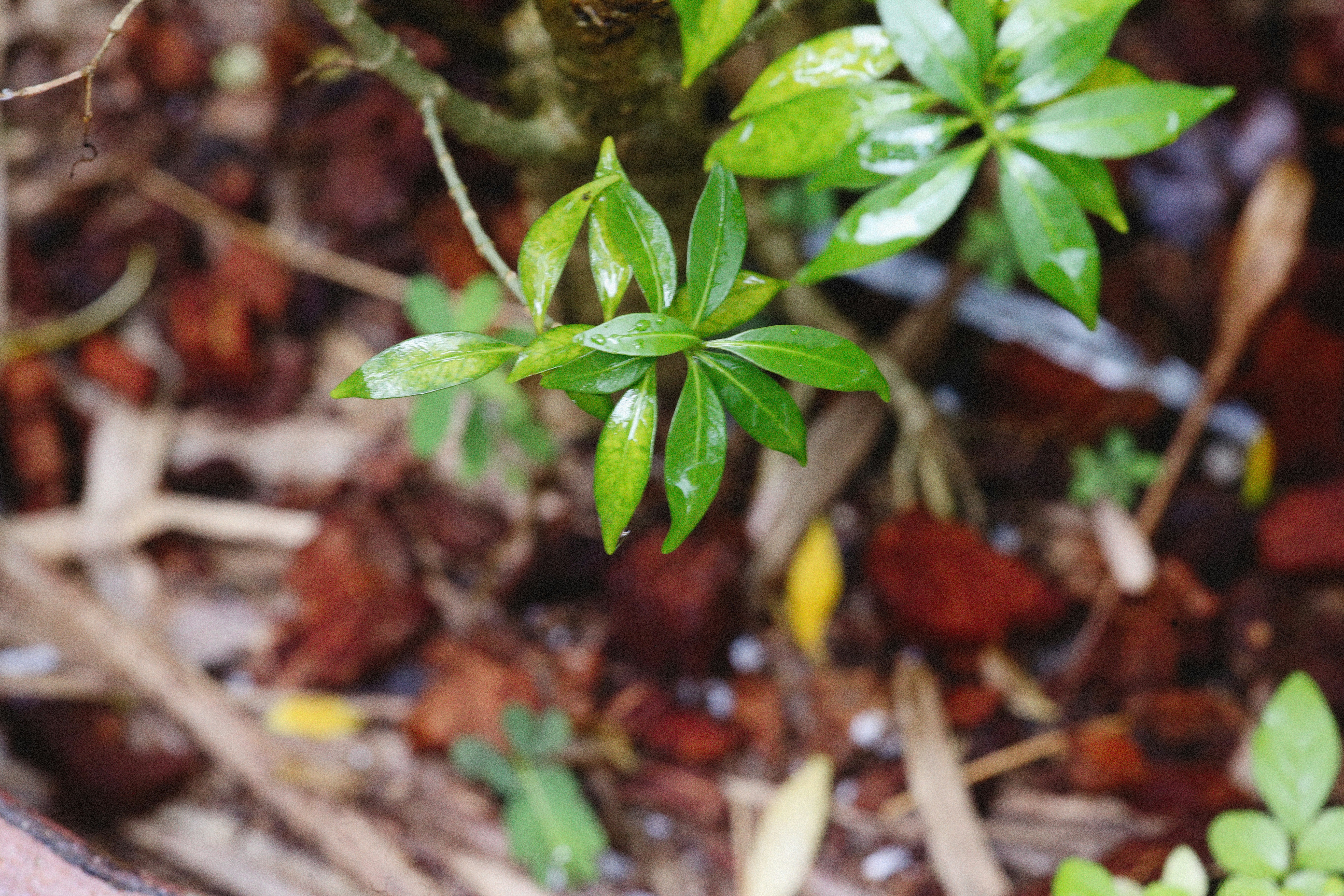 Photo by alexeydemidov