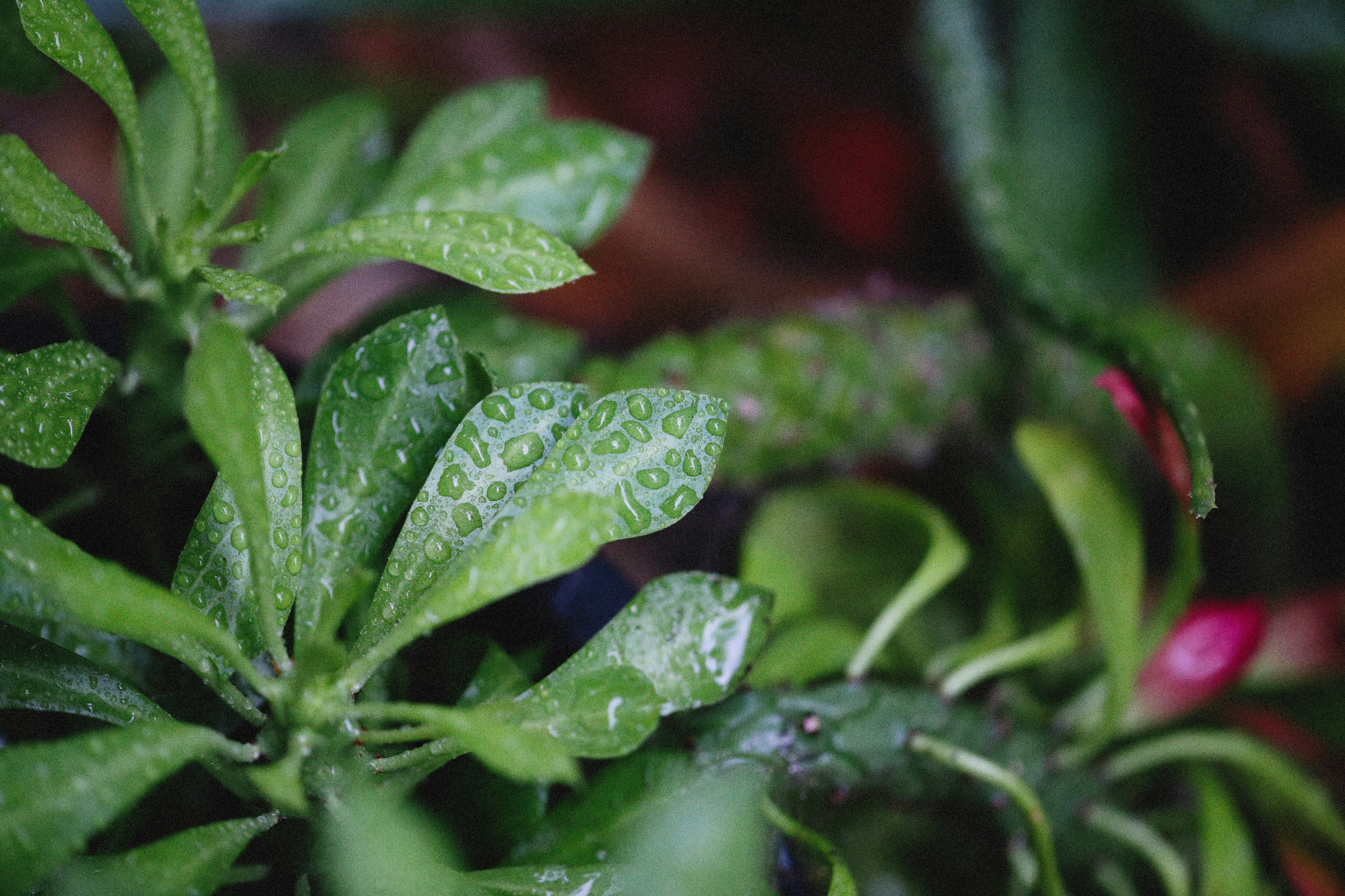 Photo by alexeydemidov