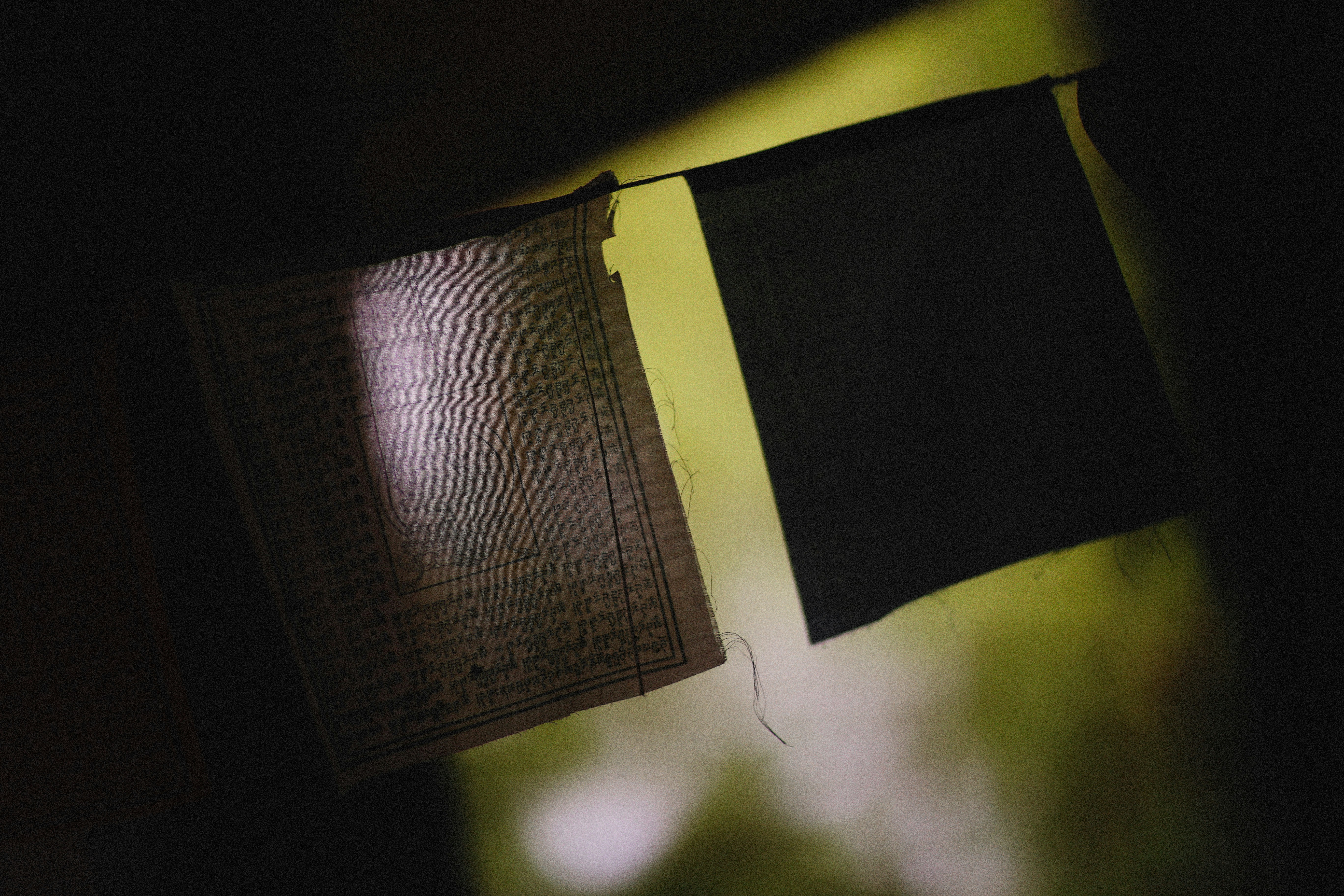 Photo by alexeydemidov