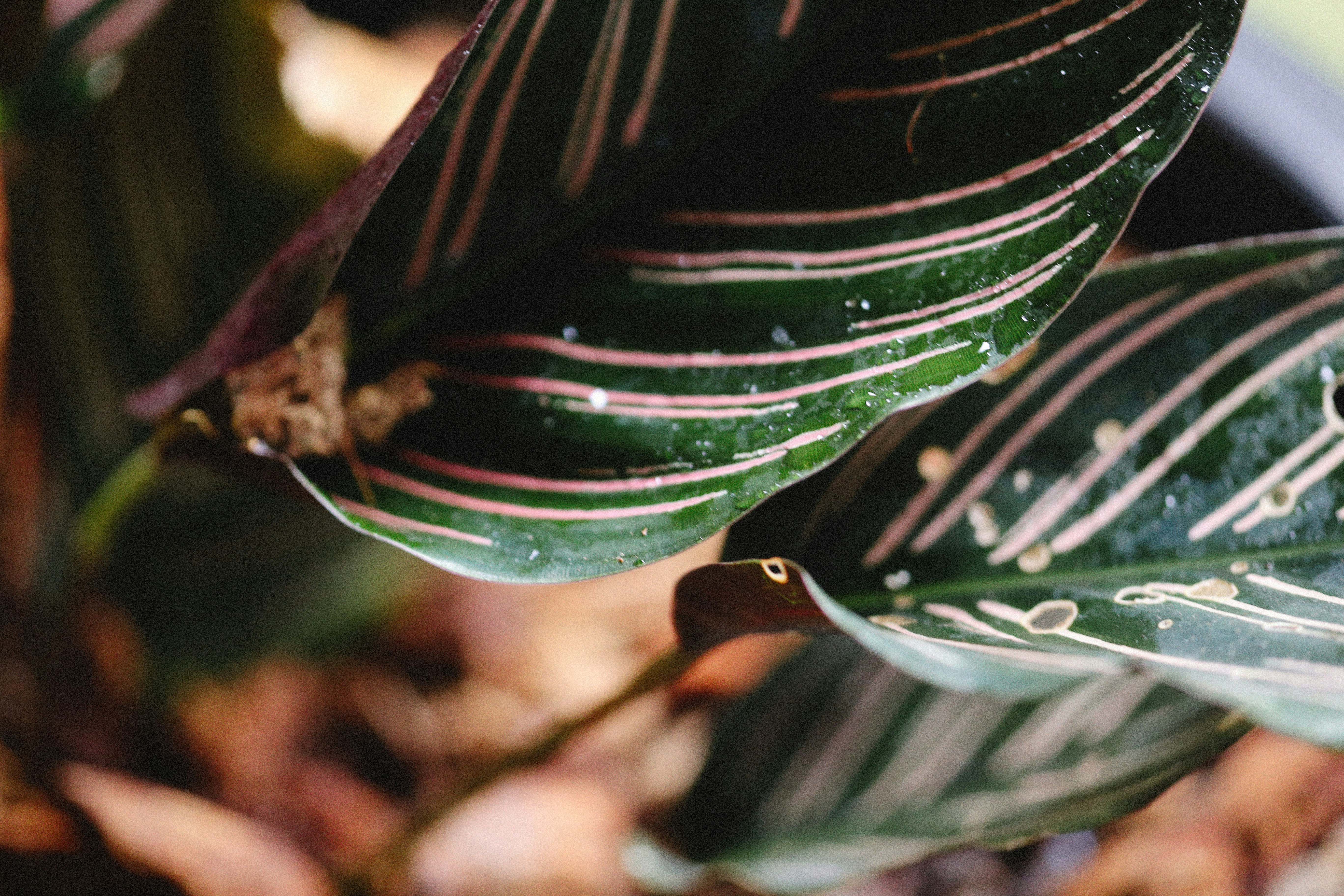 Photo by alexeydemidov