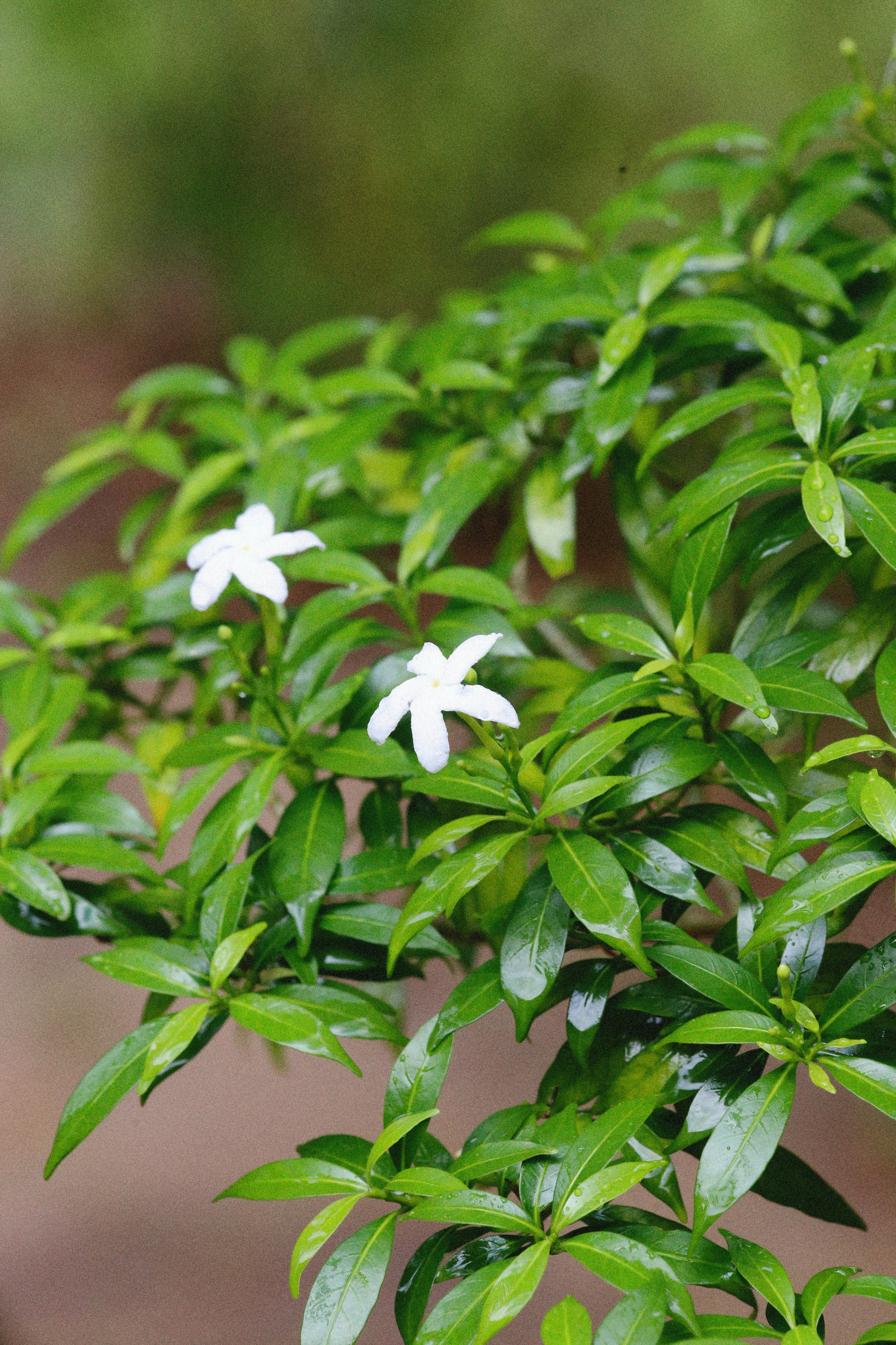 Photo by alexeydemidov