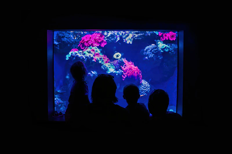 Moody Gardens
