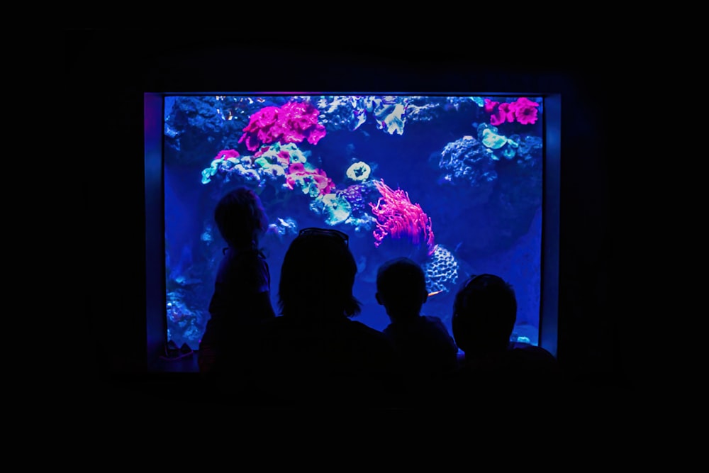 a group of people standing in front of a fish tank