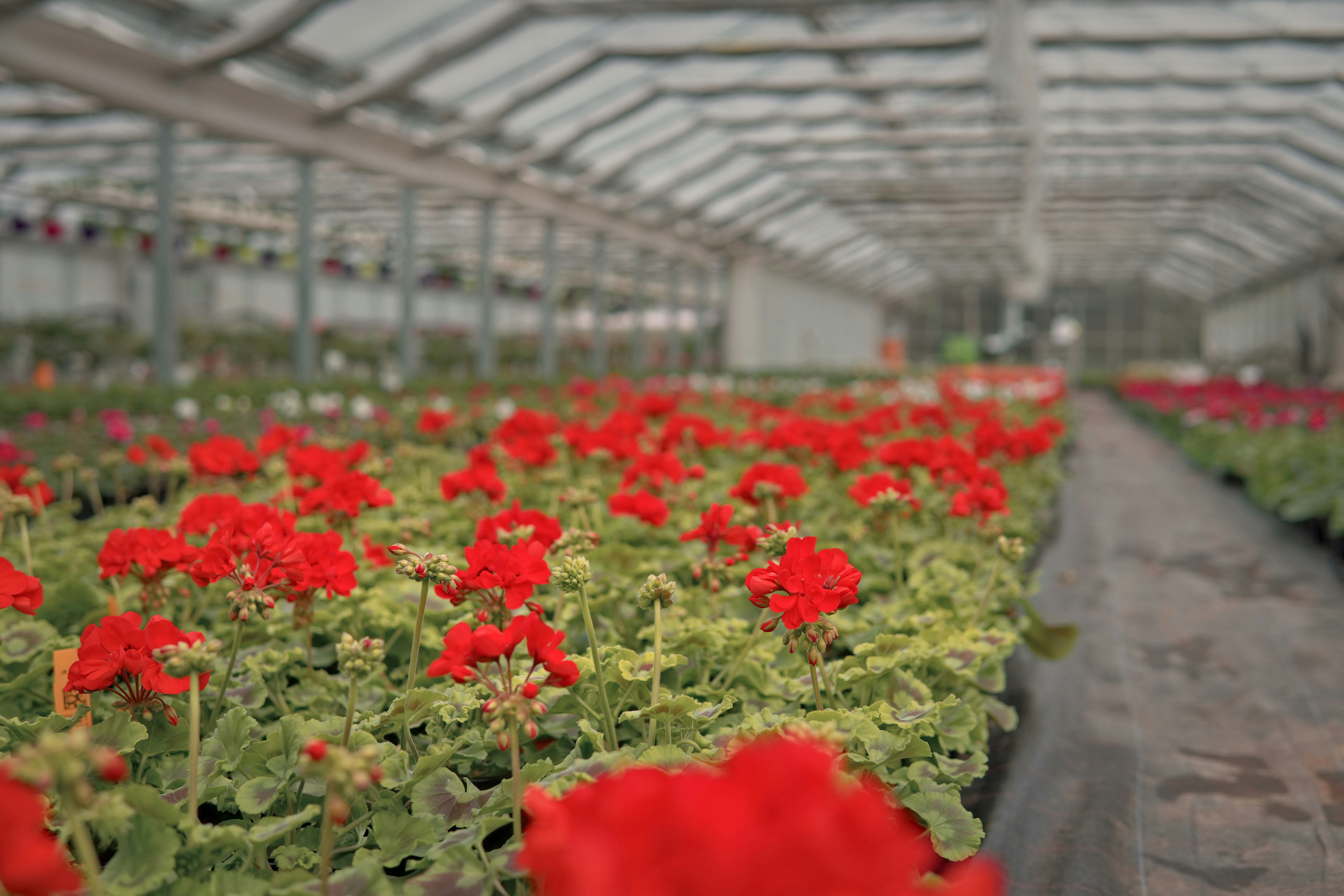 Photo by xperts_avenue