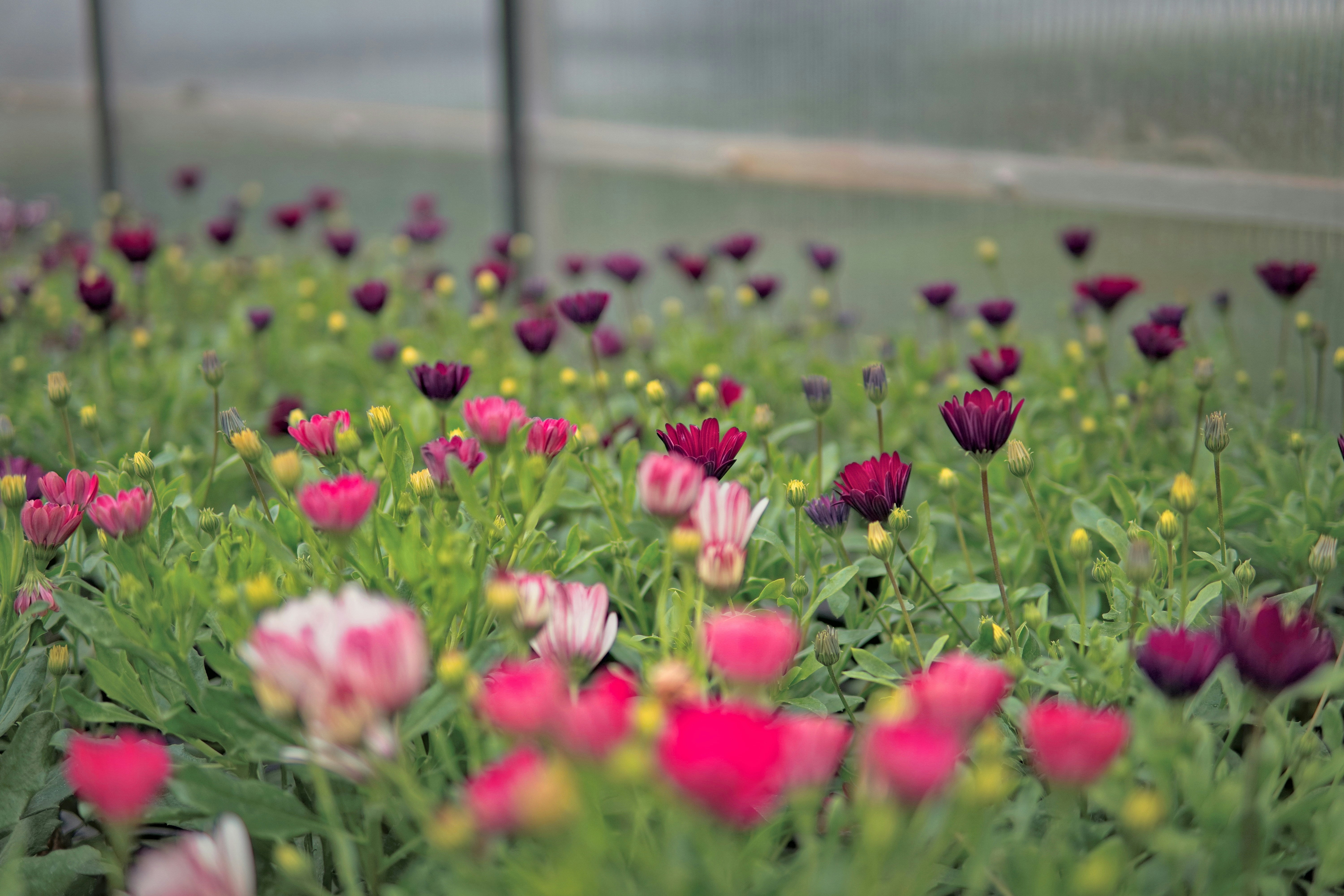 Photo by xperts_avenue