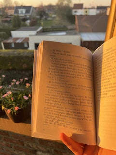 An open book with text in French is held in front of a window, with a sunset illuminating the pages. In the background, there is an outdoor view of residential houses and greenery. A pot of pink flowers sits on a windowsill.