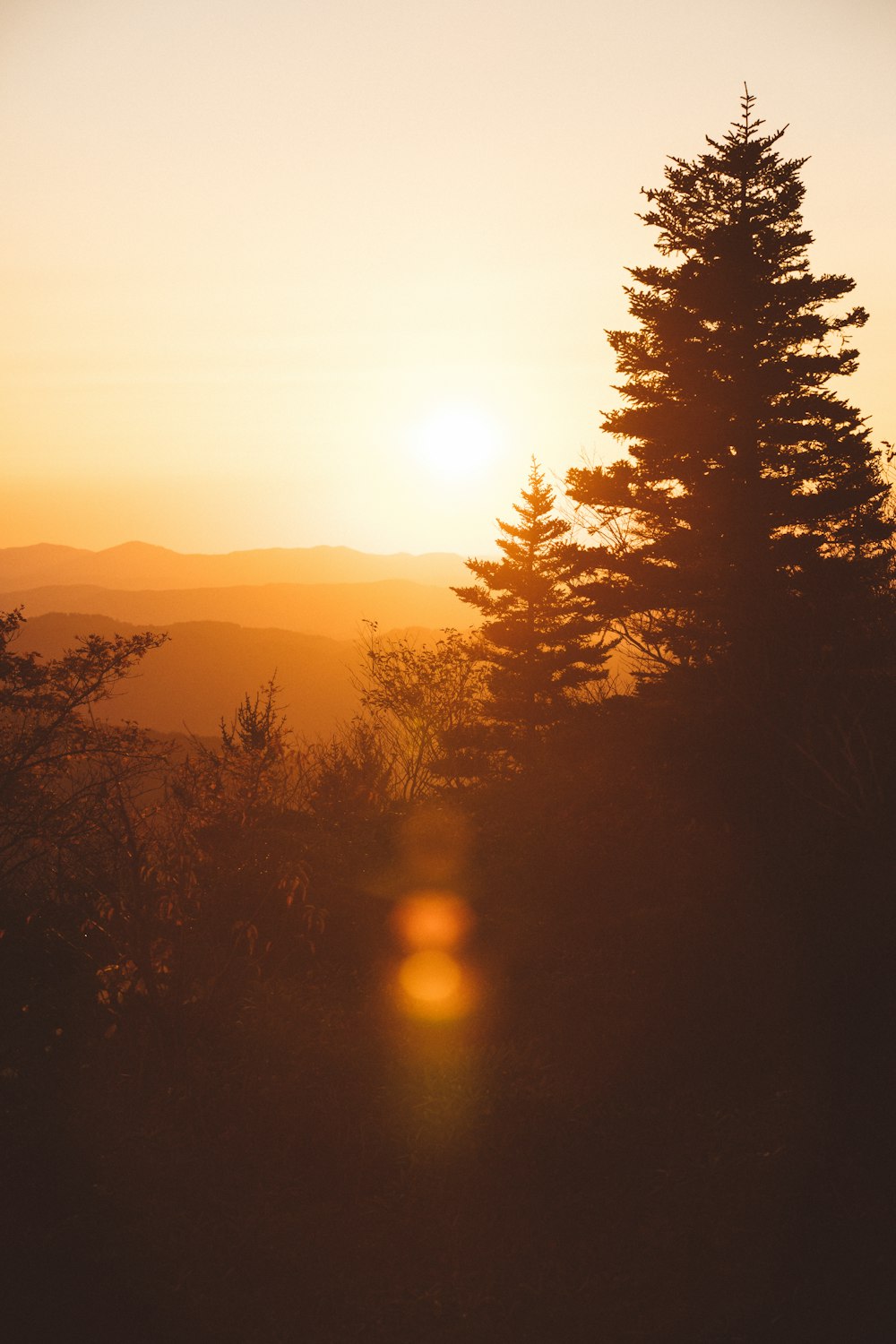 the sun is setting over the mountains and trees