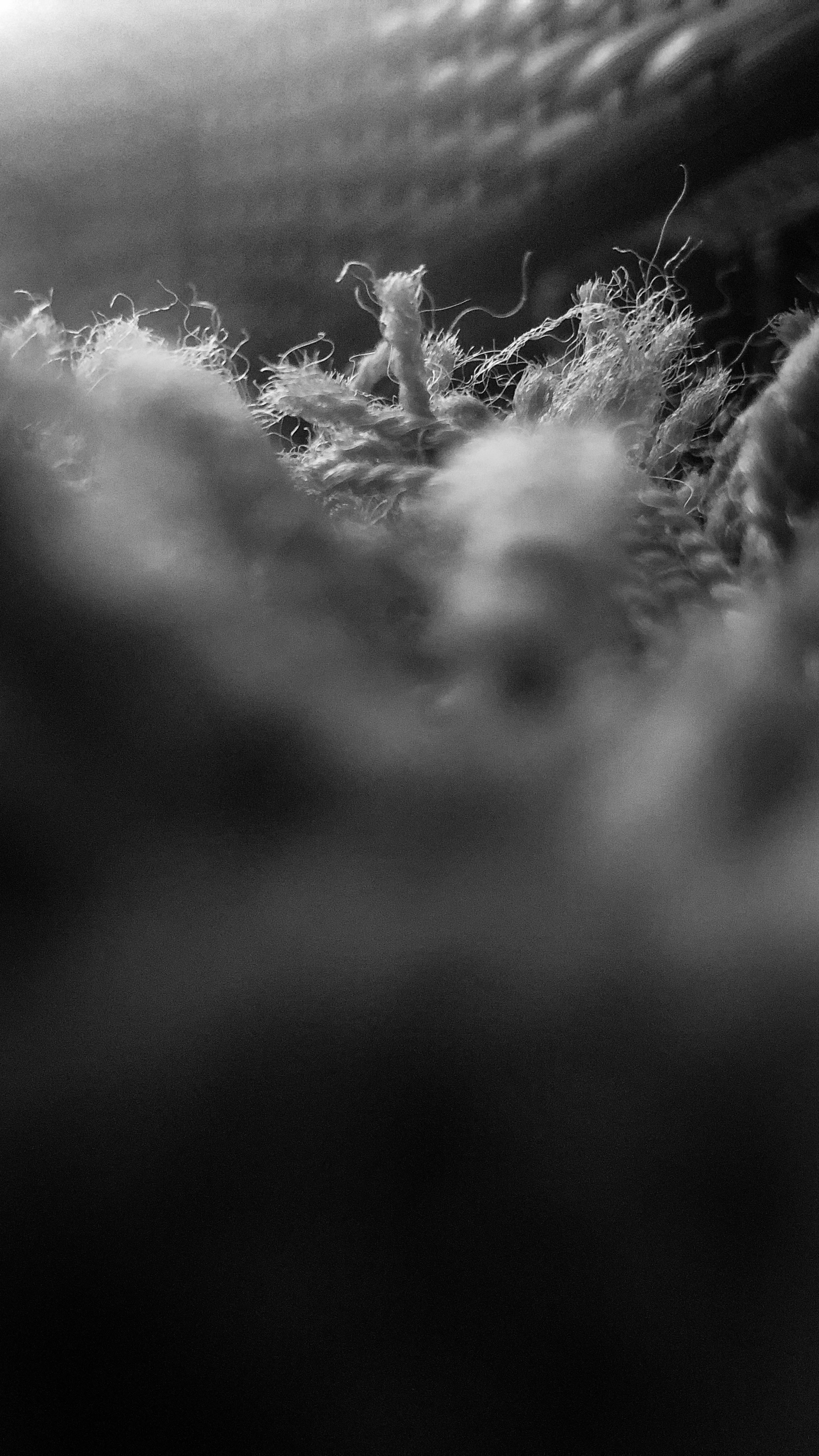 Photo by sofiaisabellac