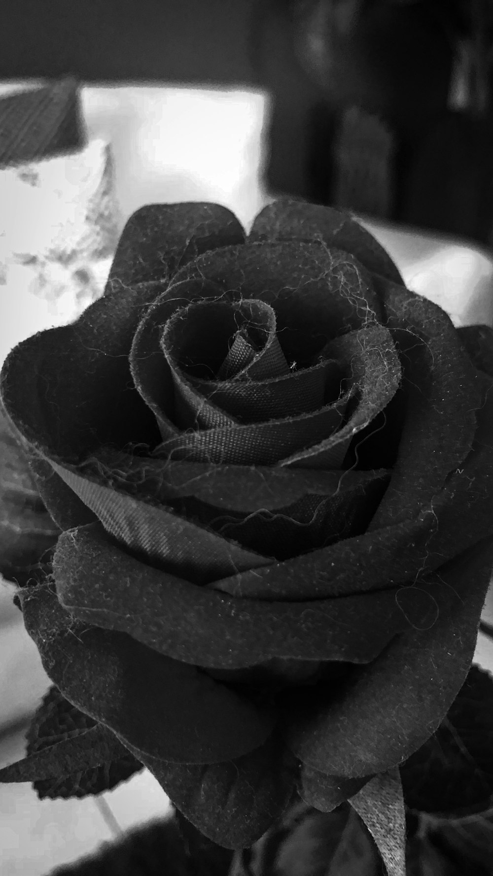 a black rose sitting on top of a table