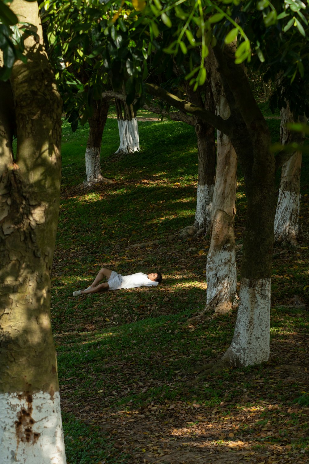 a person laying on the ground in a forest