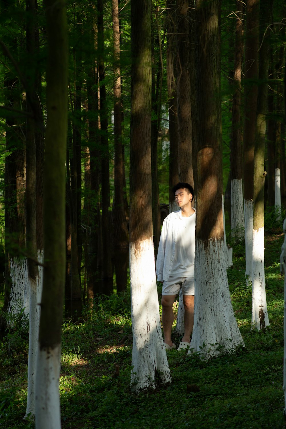 a man standing between two trees in a forest