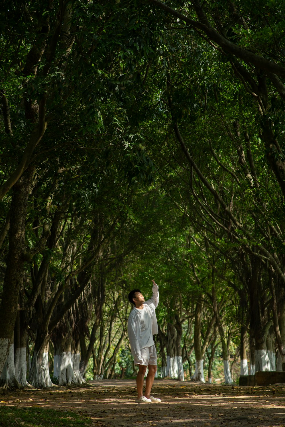 a man standing in the middle of a forest