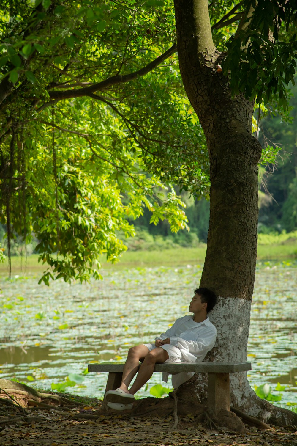 Ein Mann sitzt auf einer Bank unter einem Baum