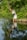 A customer reflecting peacefully in nature.